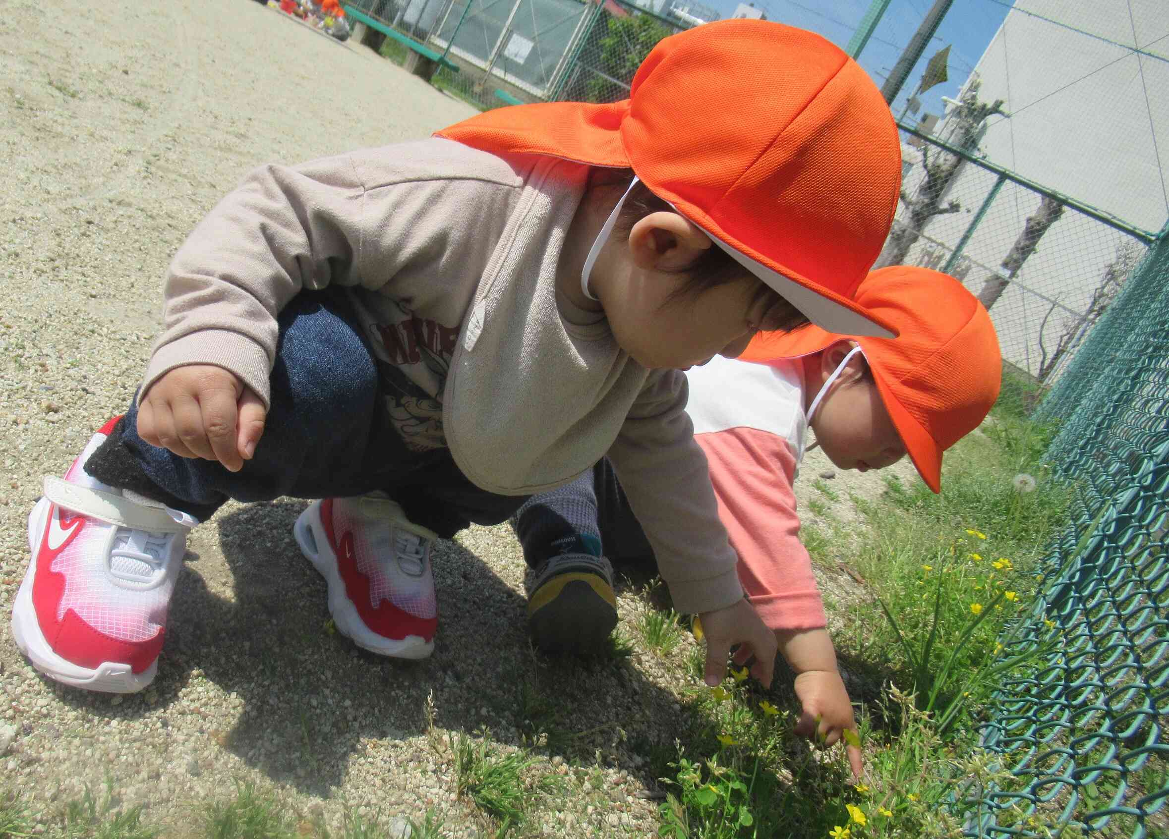 足元に見つけた、小さなしあわせ