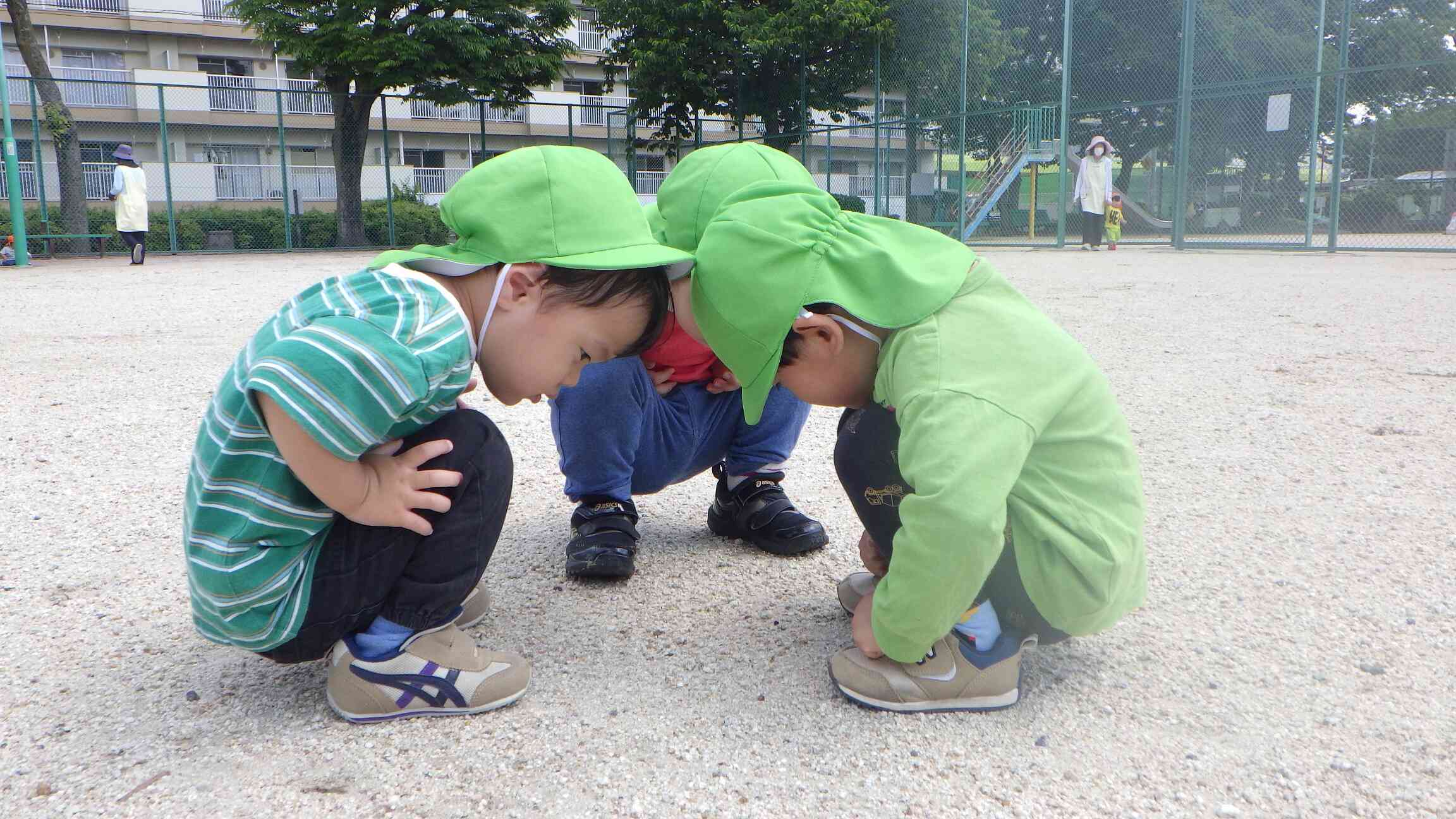 観察会