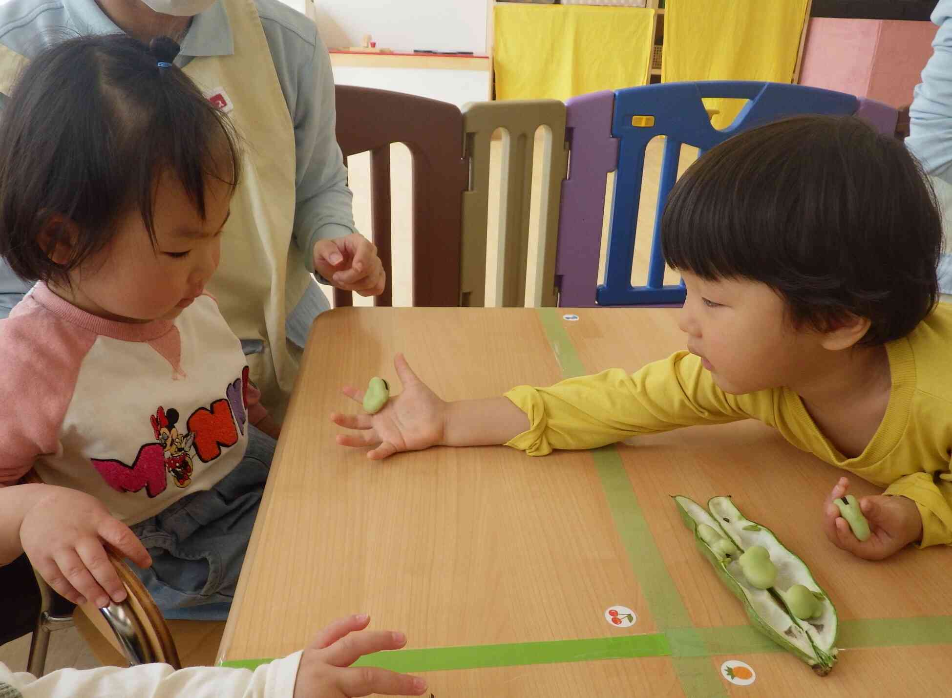 【食育】そら豆に触れてみよう♪