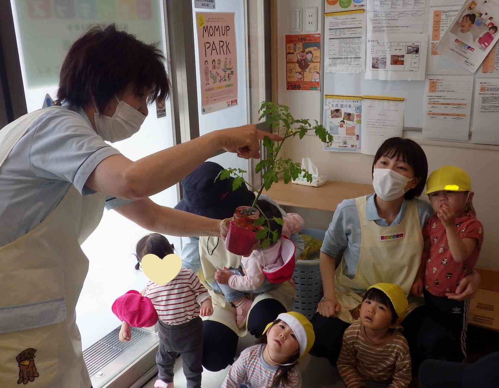 【食育】野菜の苗植え