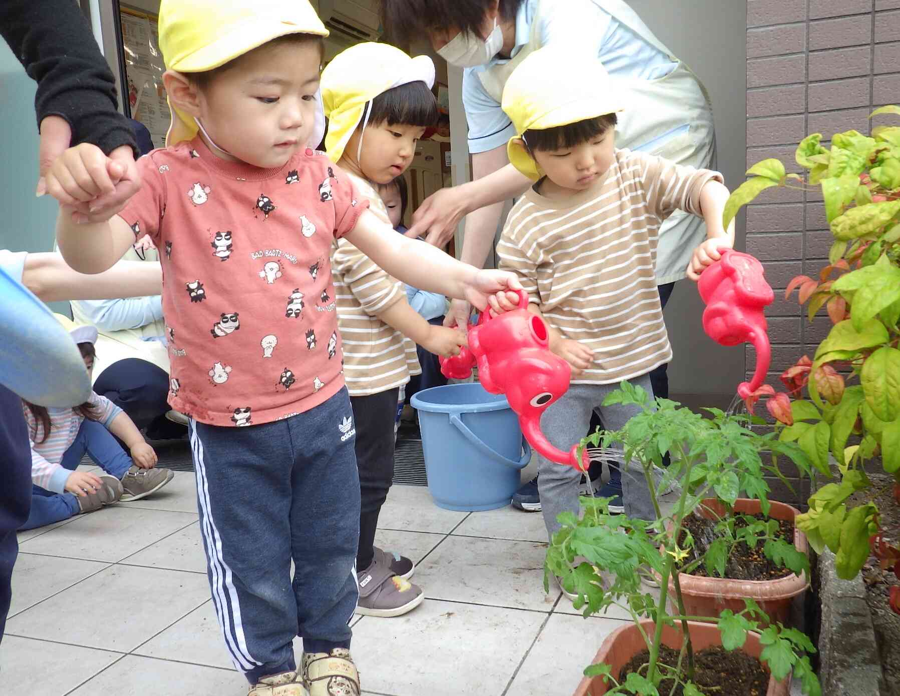 大きくなあれ！