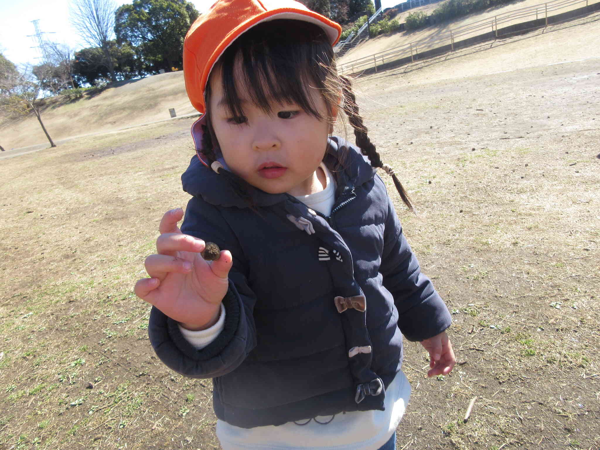 見て見て！あったよ！