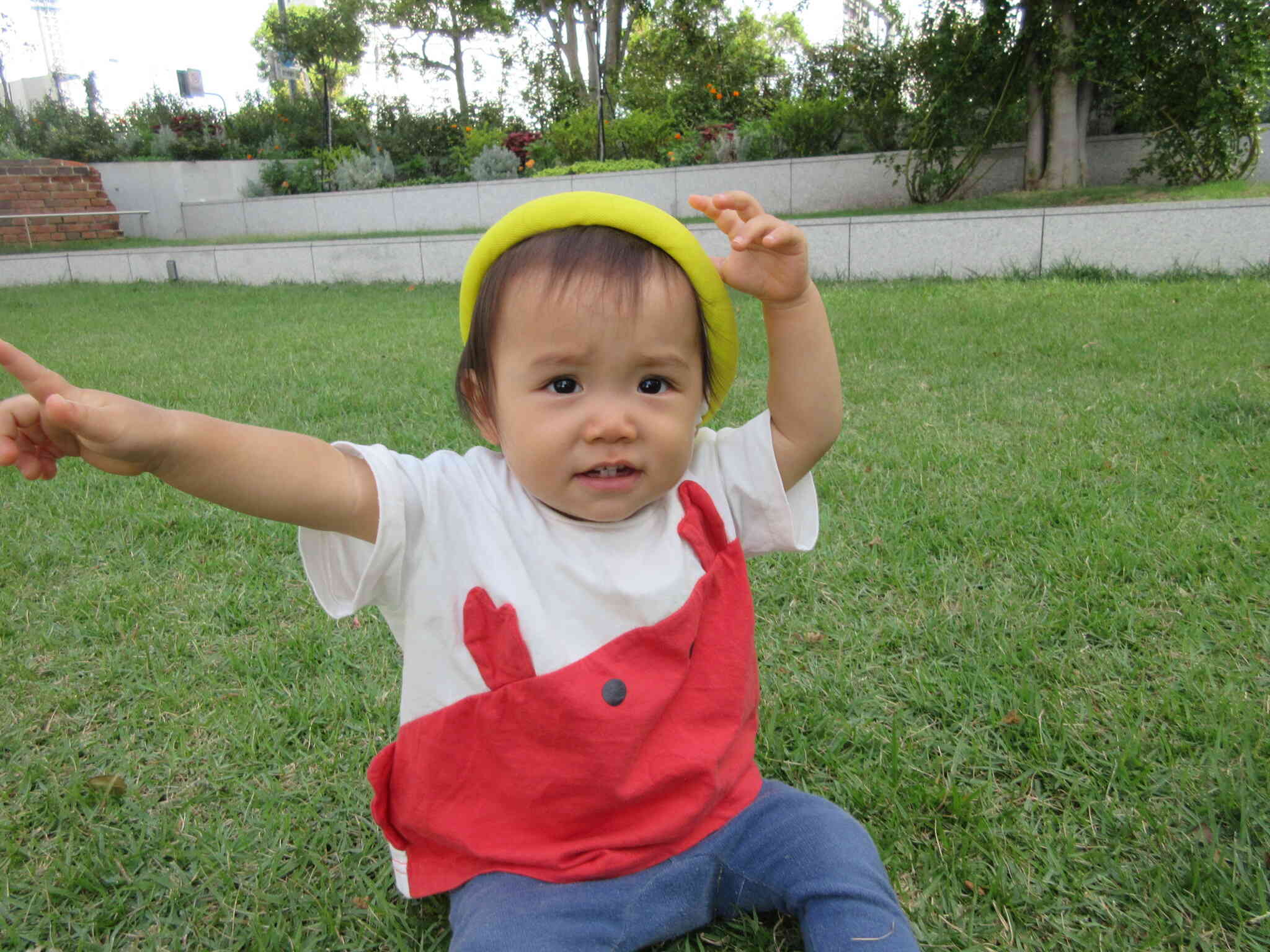 あっち！あっち！