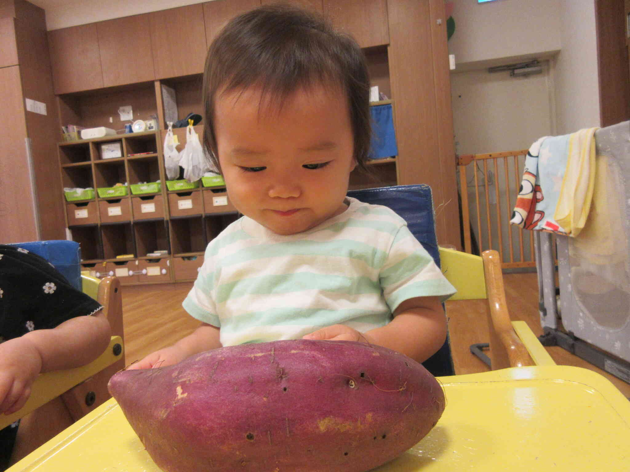 じーっと見つめています！