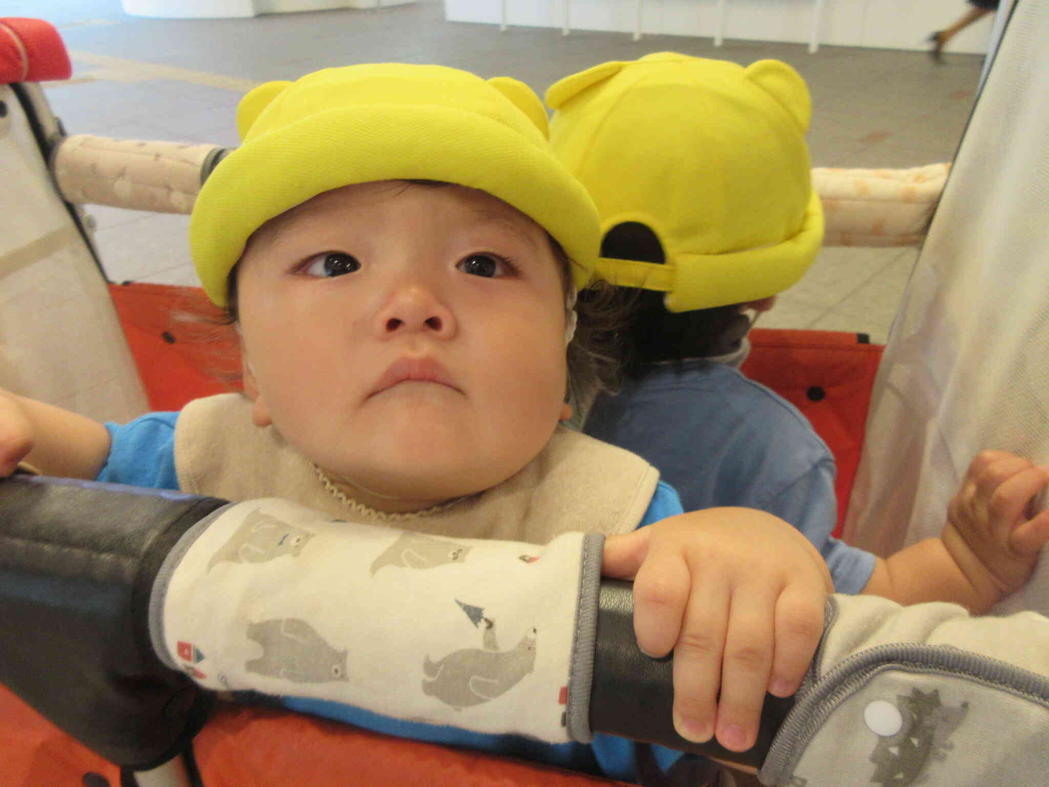 カートにも上手に乗れるよ！