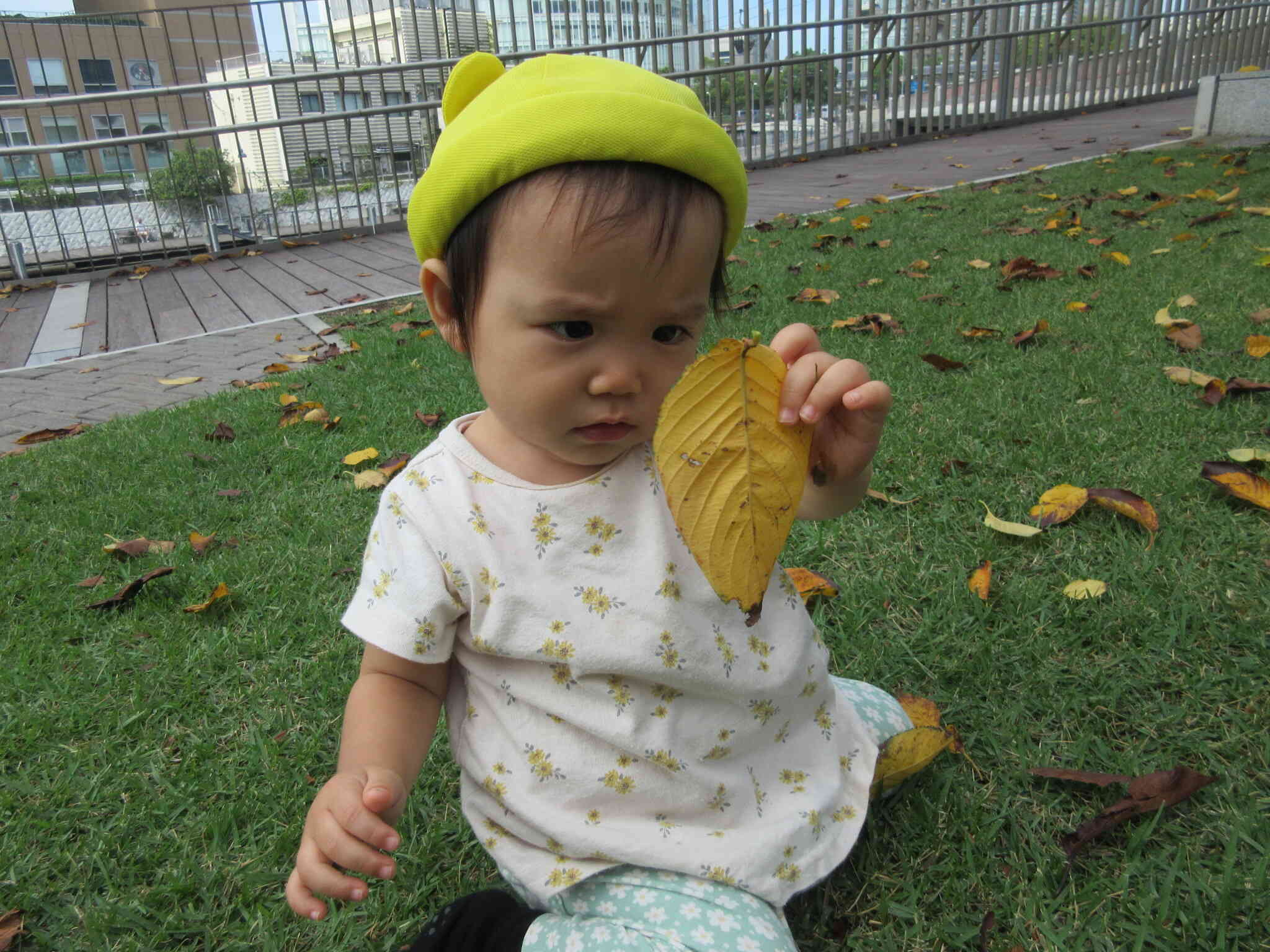 じーっと葉っぱを観察中！