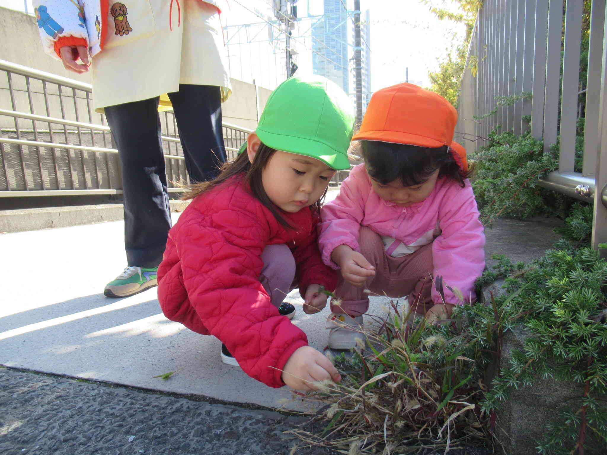 いいお天気だね！（2歳児）