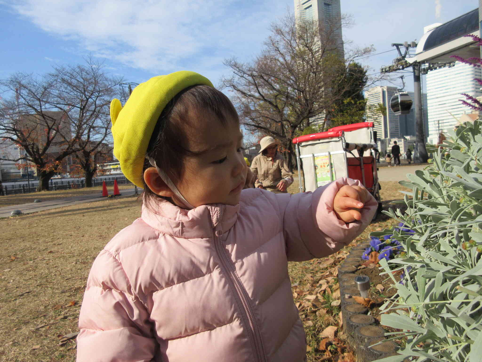お花や葉っぱの観察も大好きです。