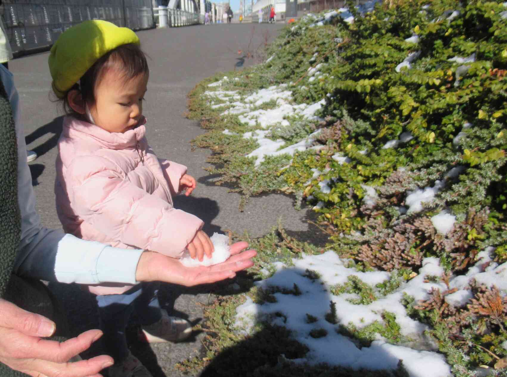 触ってみよう！