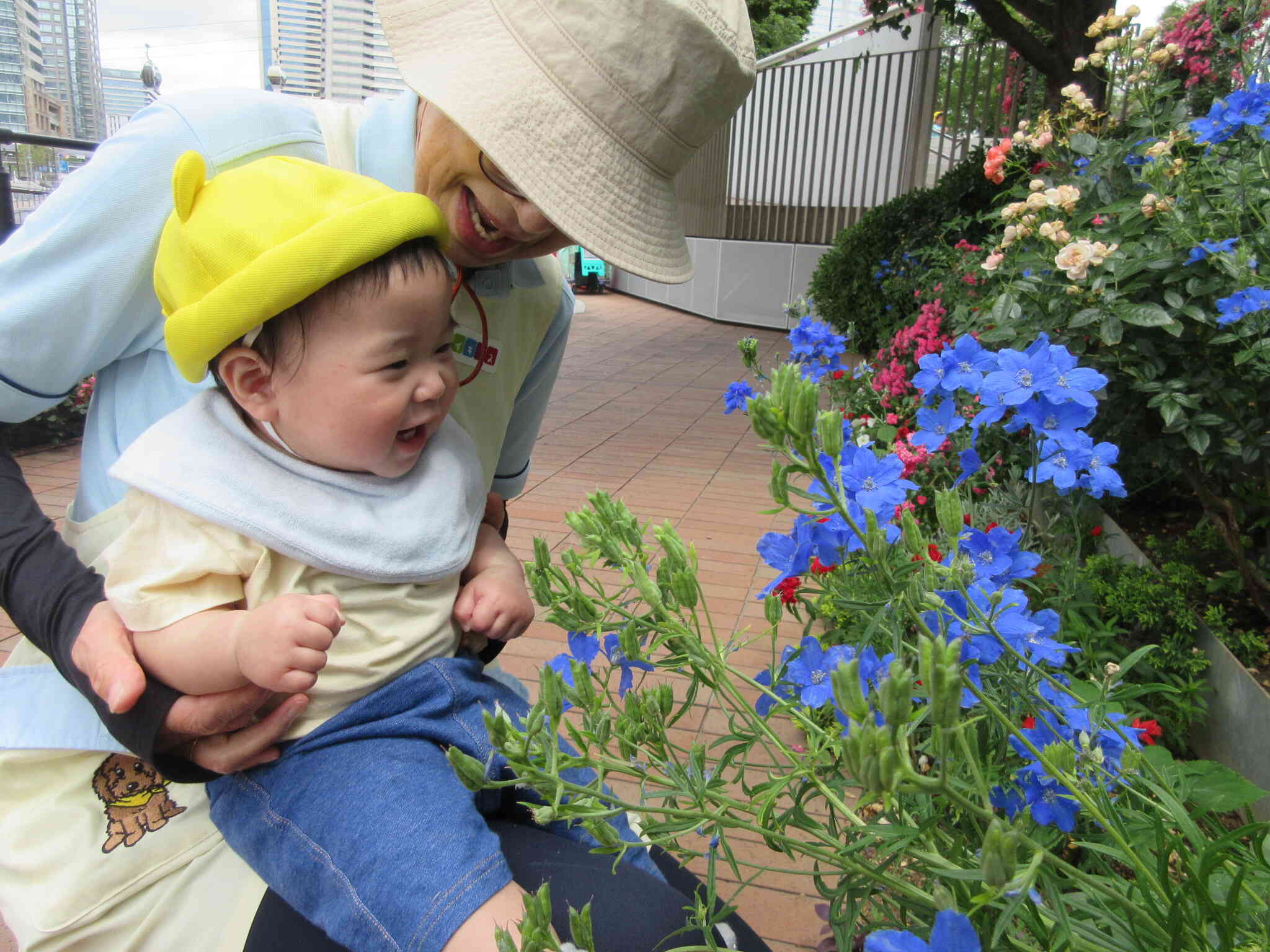 お花きれいだね♪