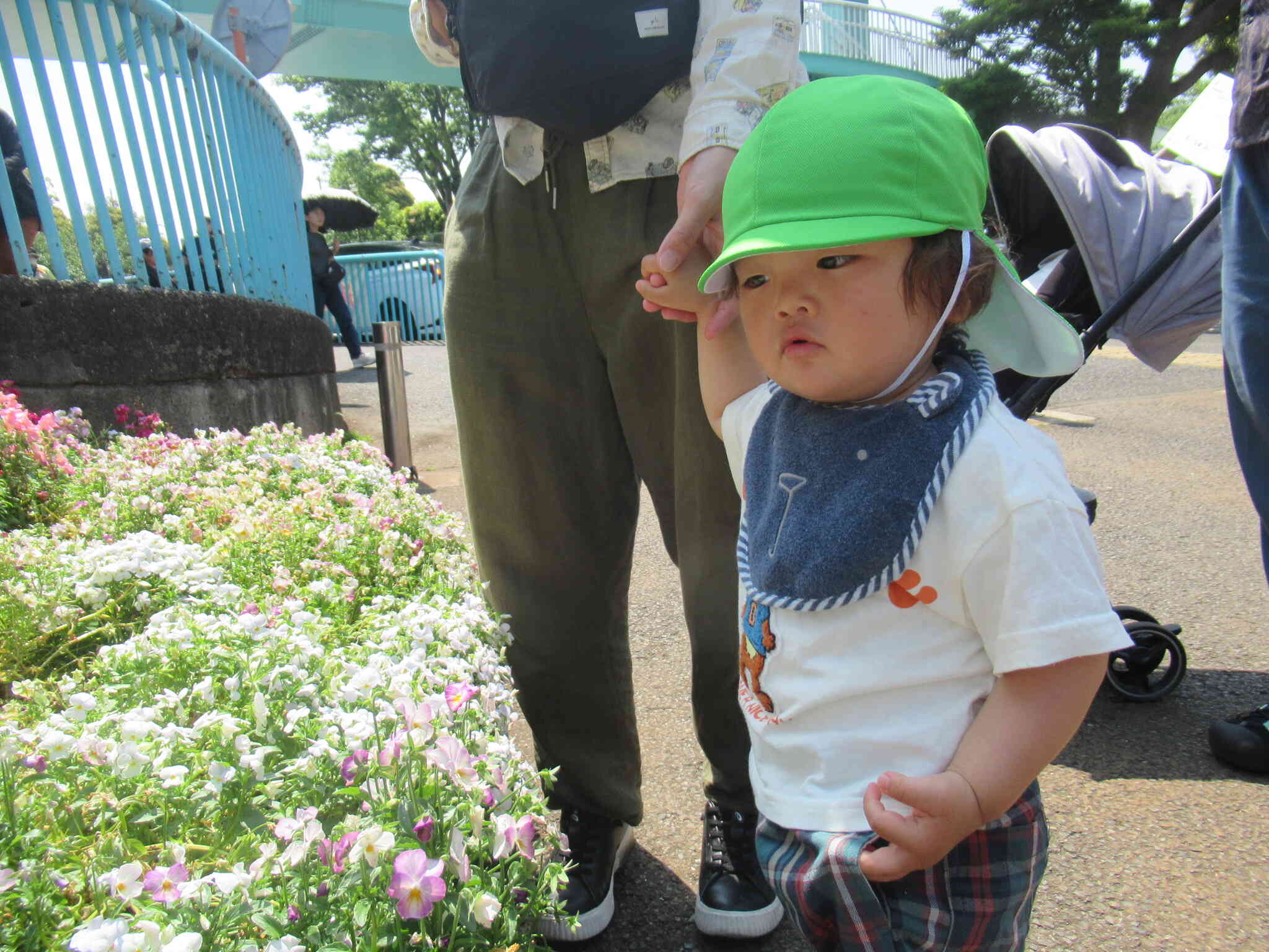 お花もきれい！