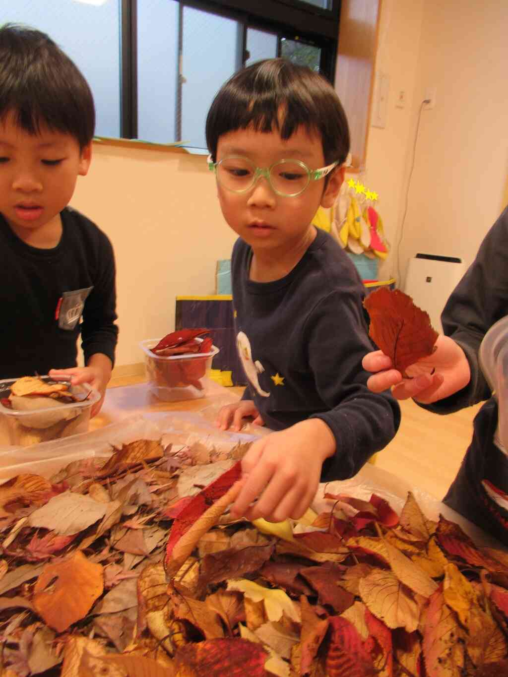 好きな落ち葉を選別します。