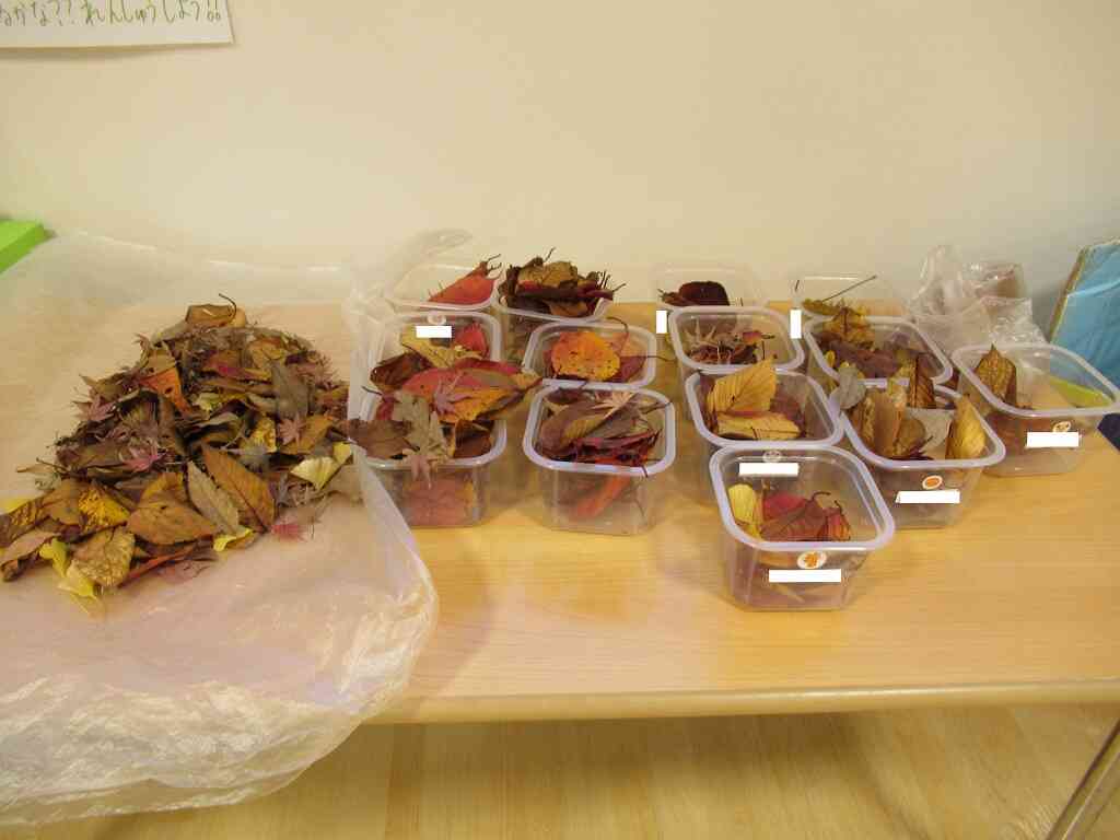 きりん組5歳児　製作