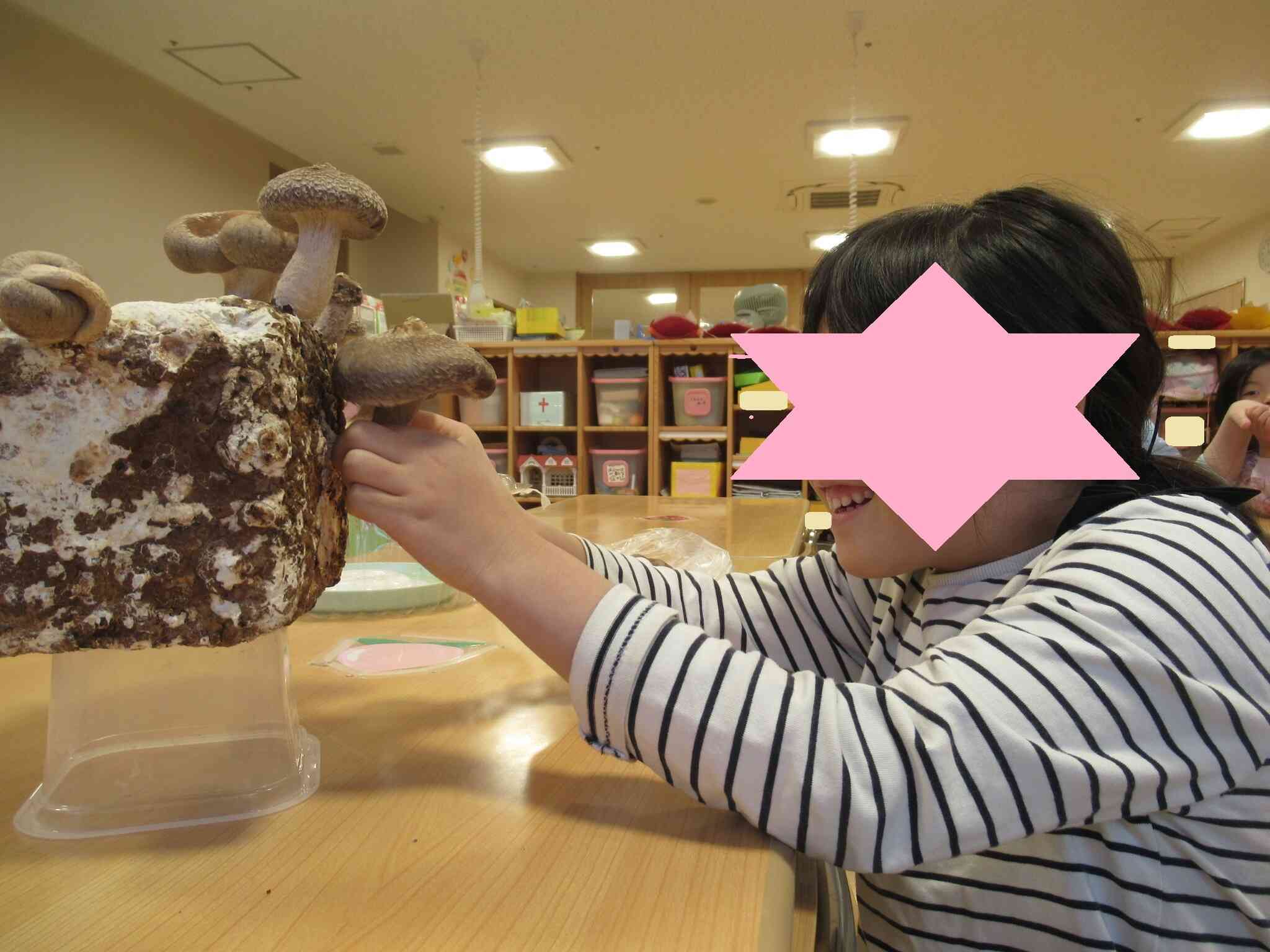 上手に収穫できるかな・・＾＾！