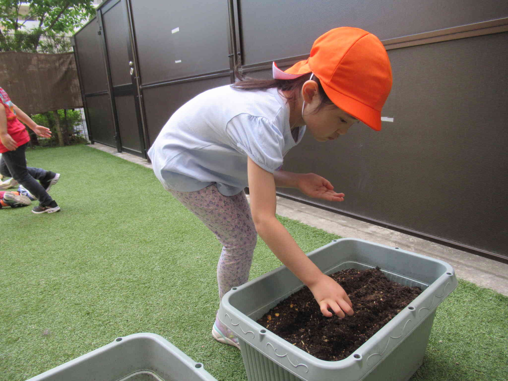 種まきをしました（きりん組　5歳児）