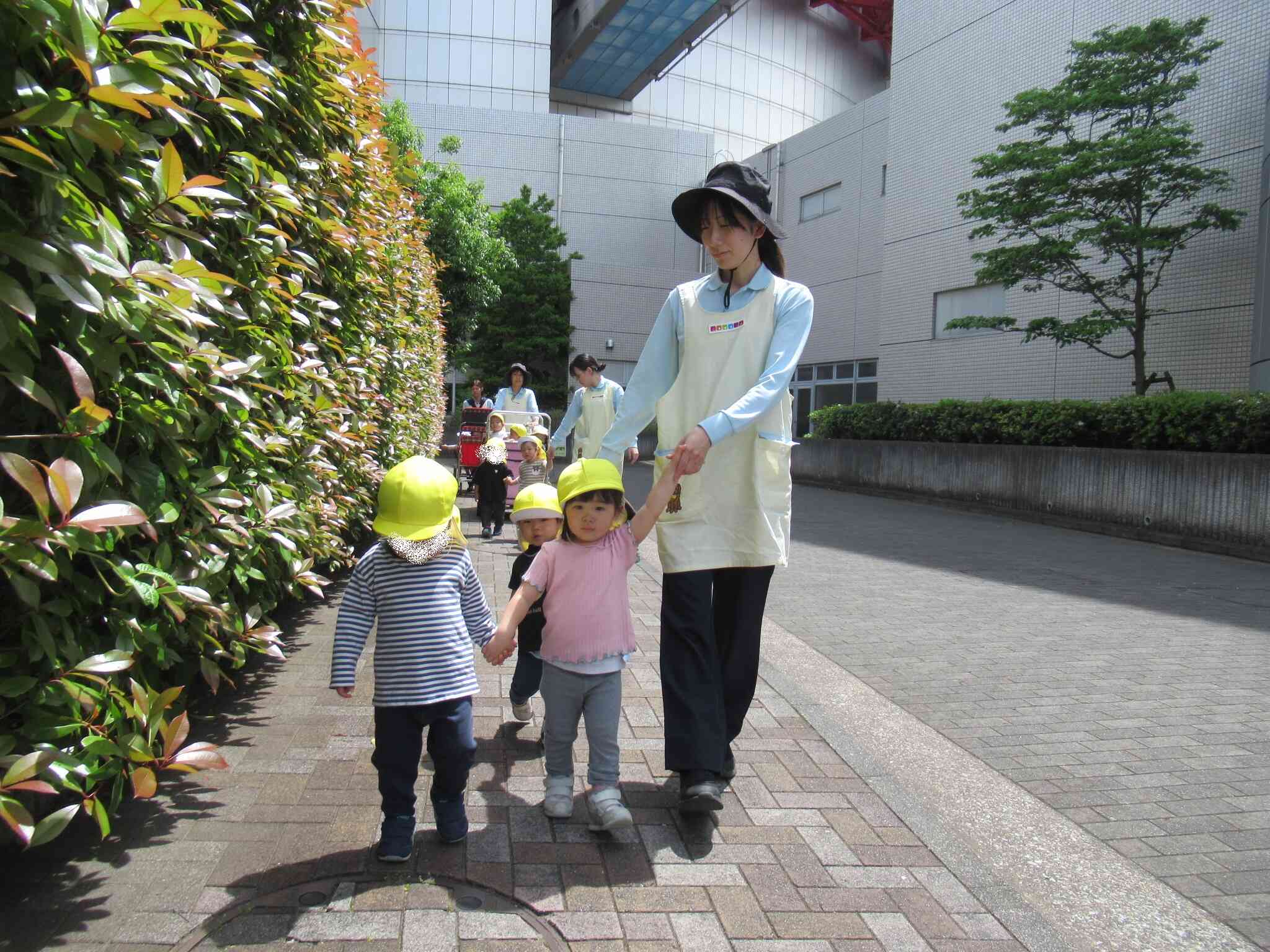 5月のお散歩　（ひよこ組0歳　あひる組1歳）