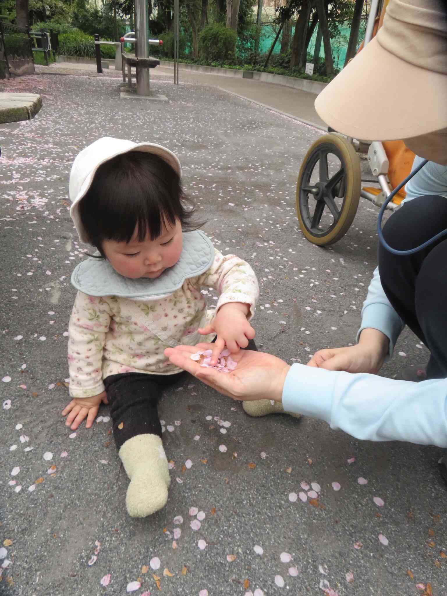 花びら？フワフワしてるね