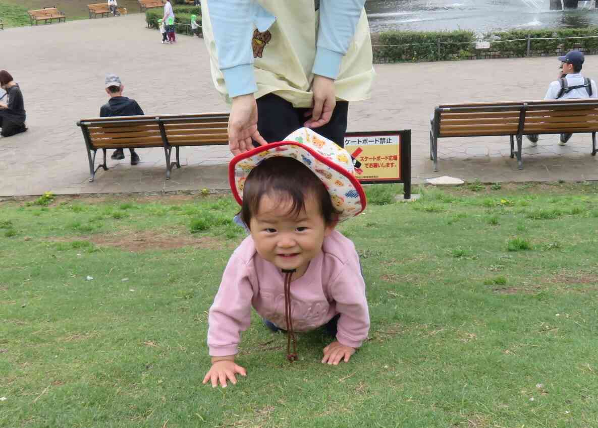 公園へ散歩