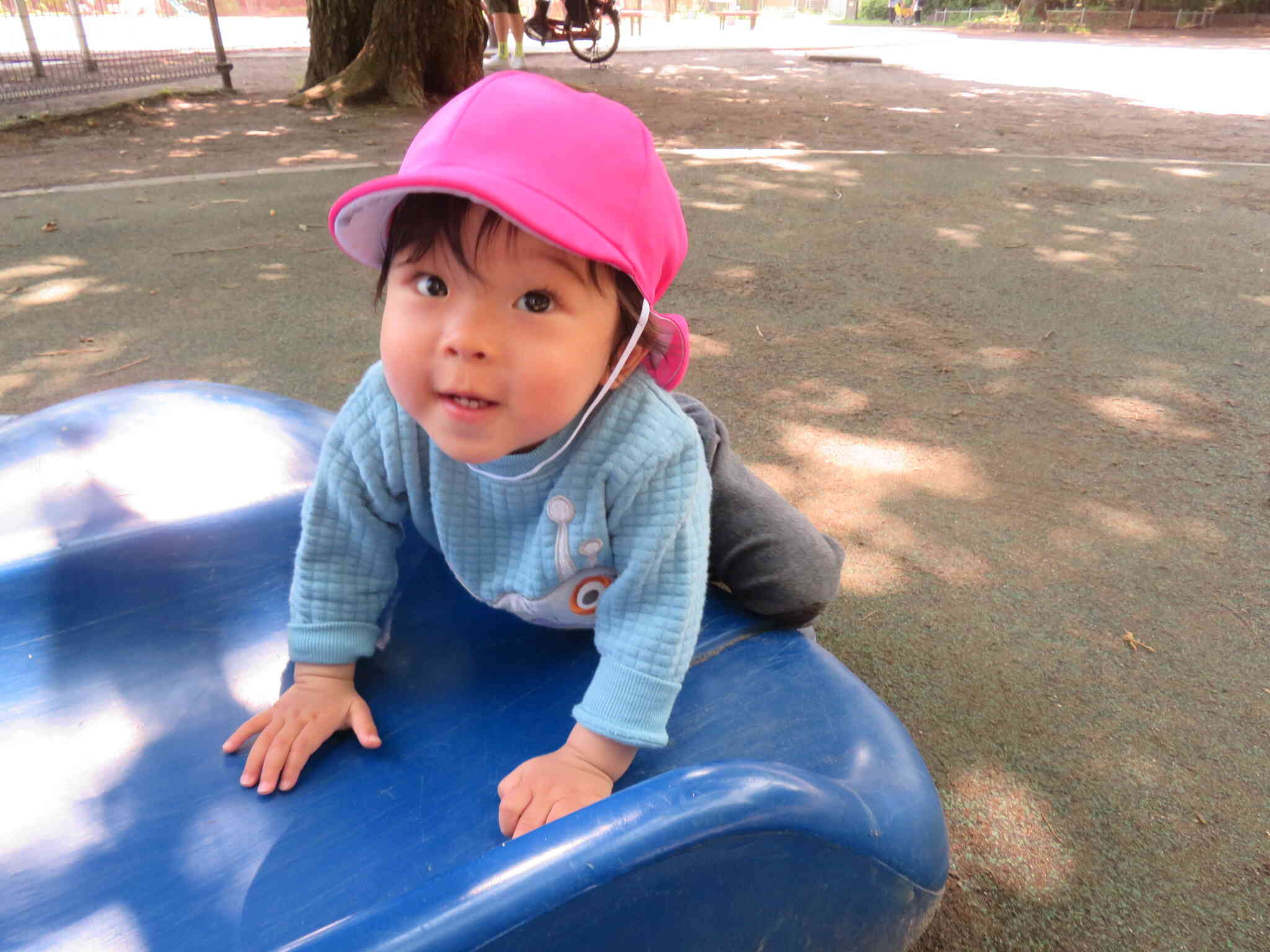 公園へ散歩