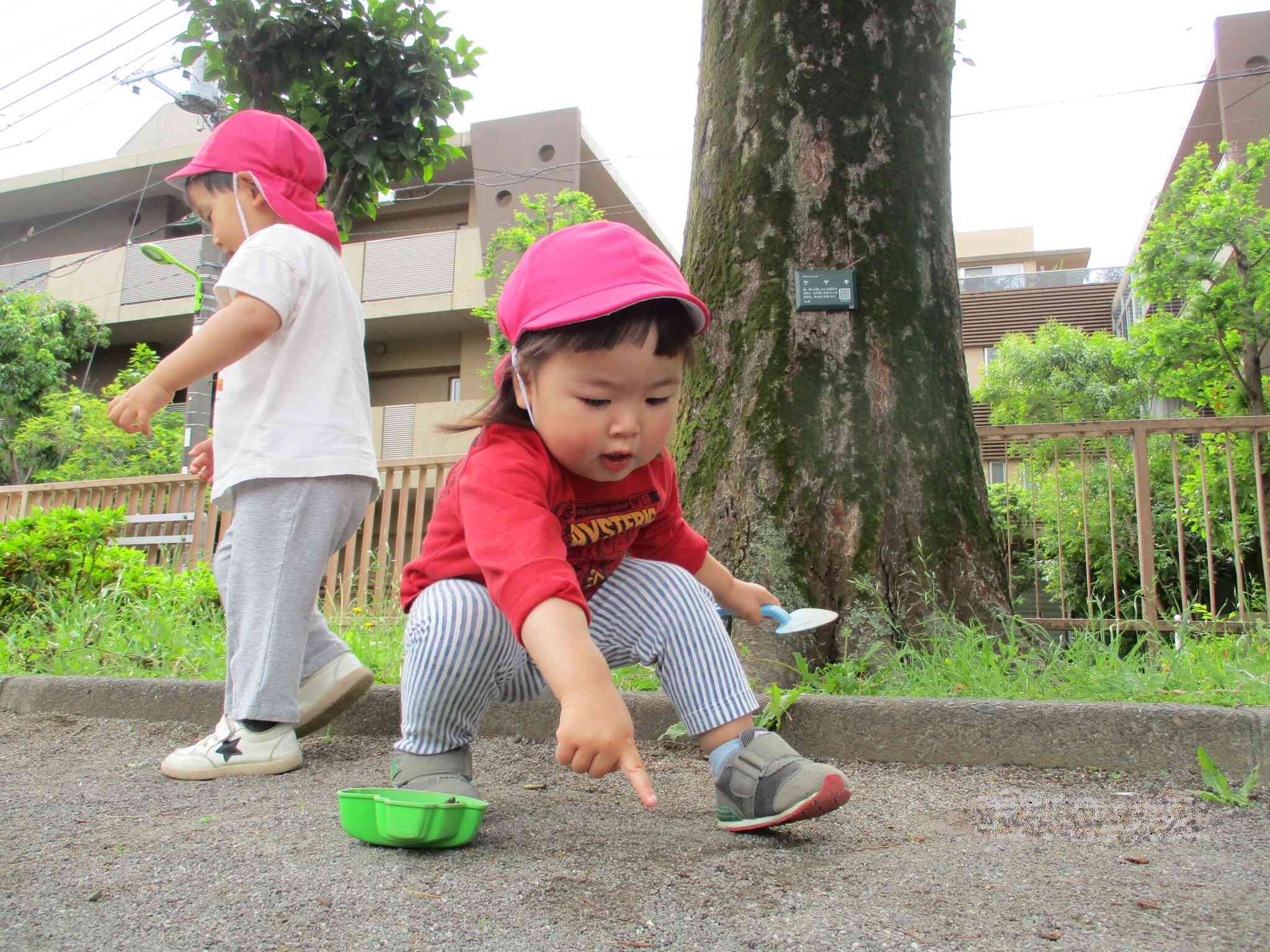 見つけた！