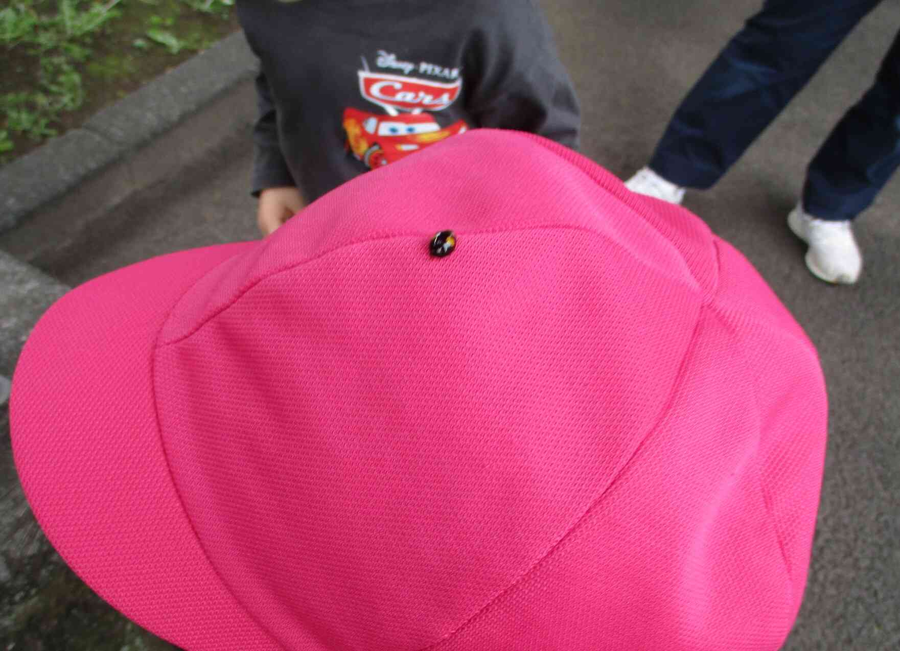 なかなか逃げないね