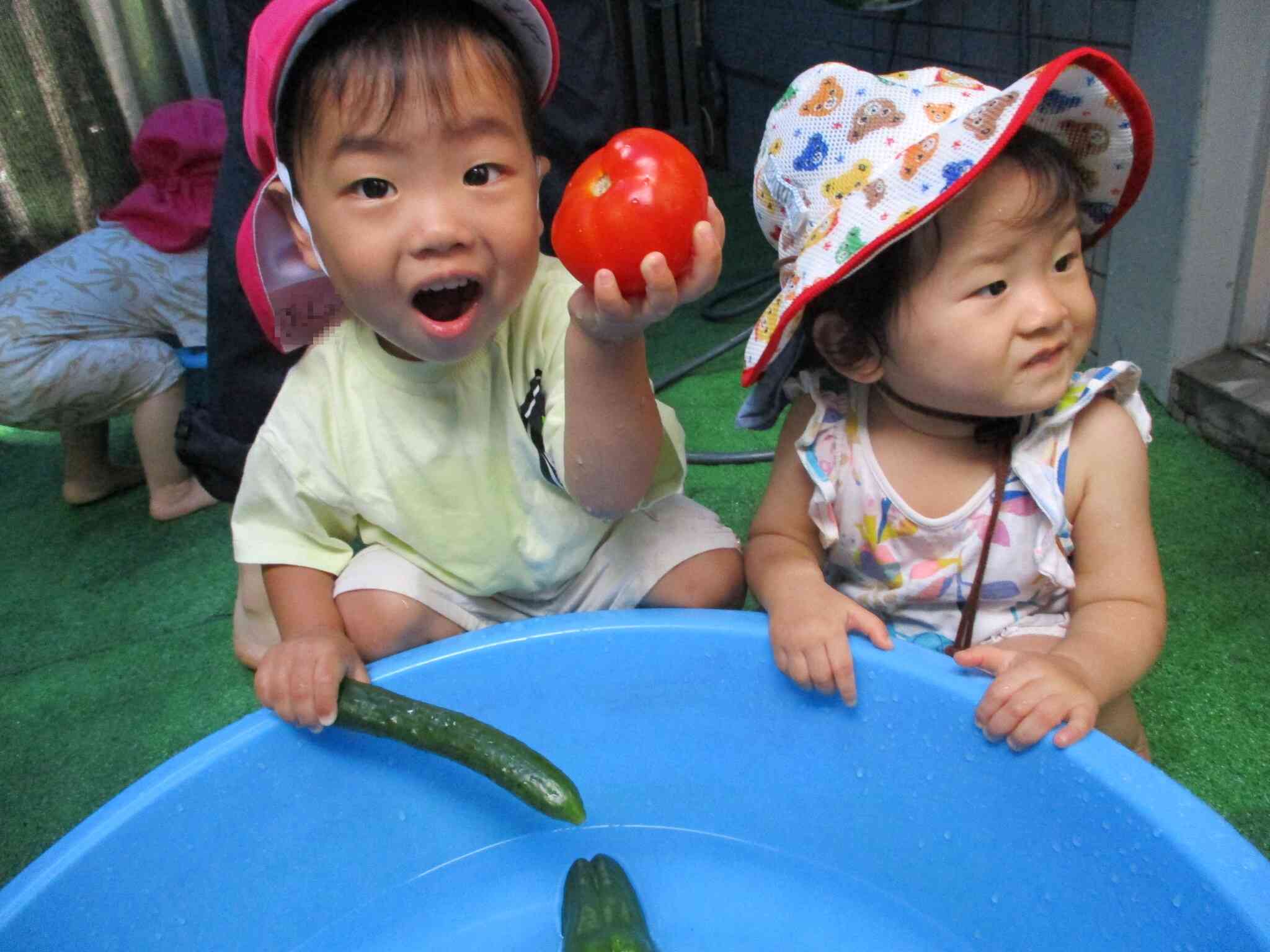 野菜洗い（0歳児・1歳児合同食育）