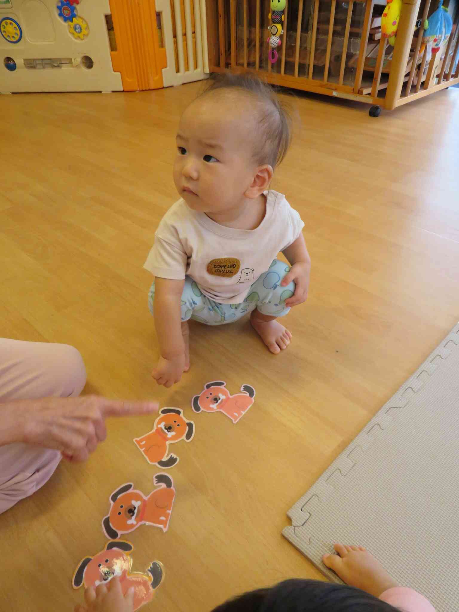 どのワンちゃんにしようかな…