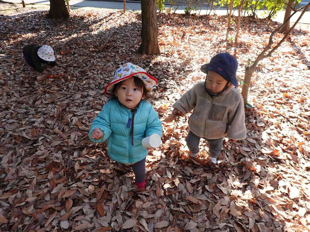 どんぐりあった～！