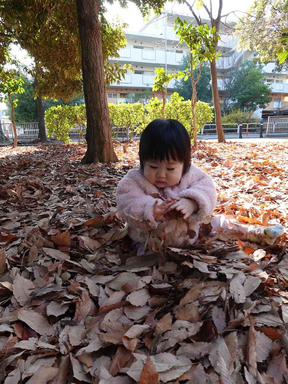 実は開脚しています！