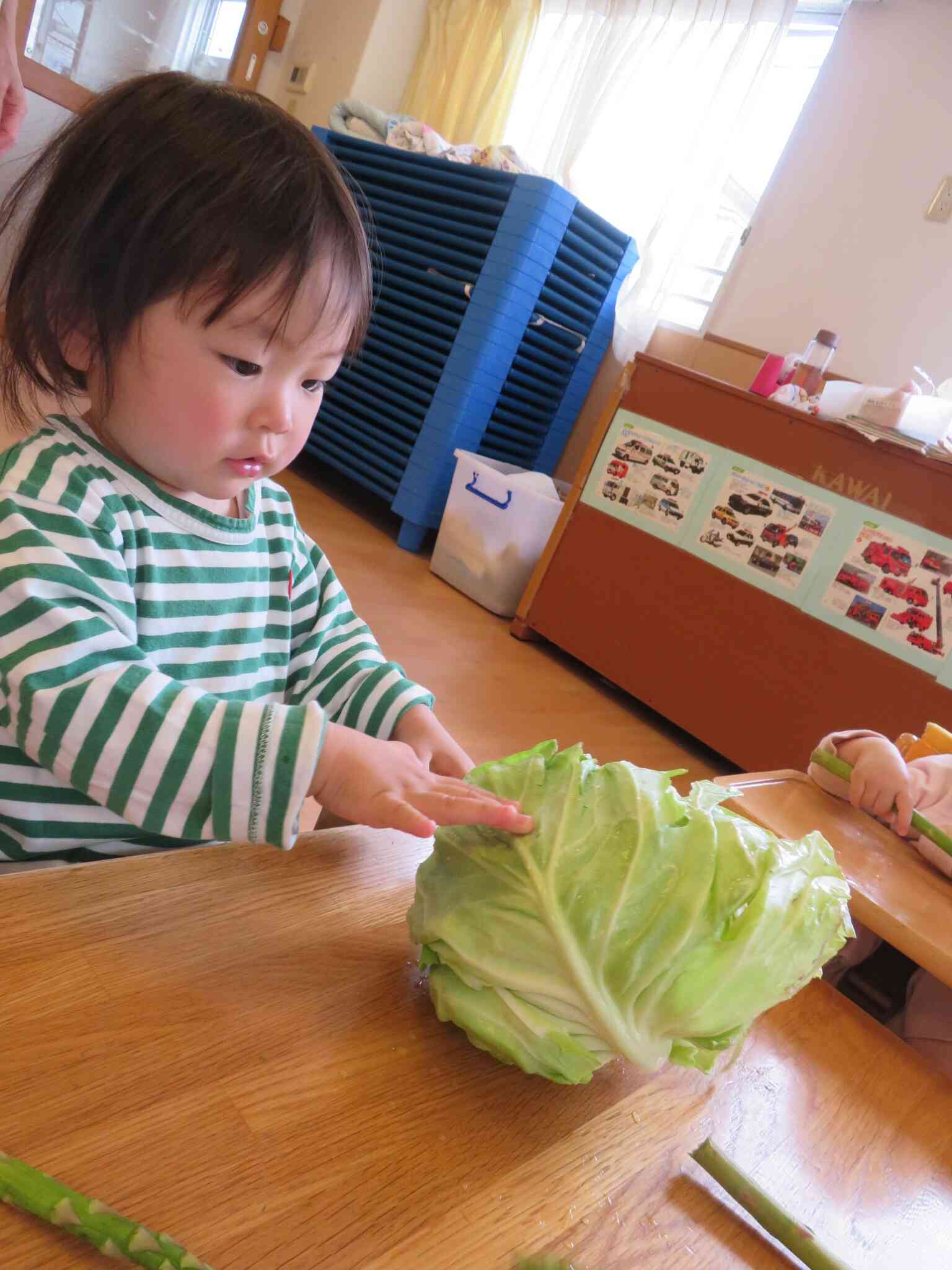 大きな野菜