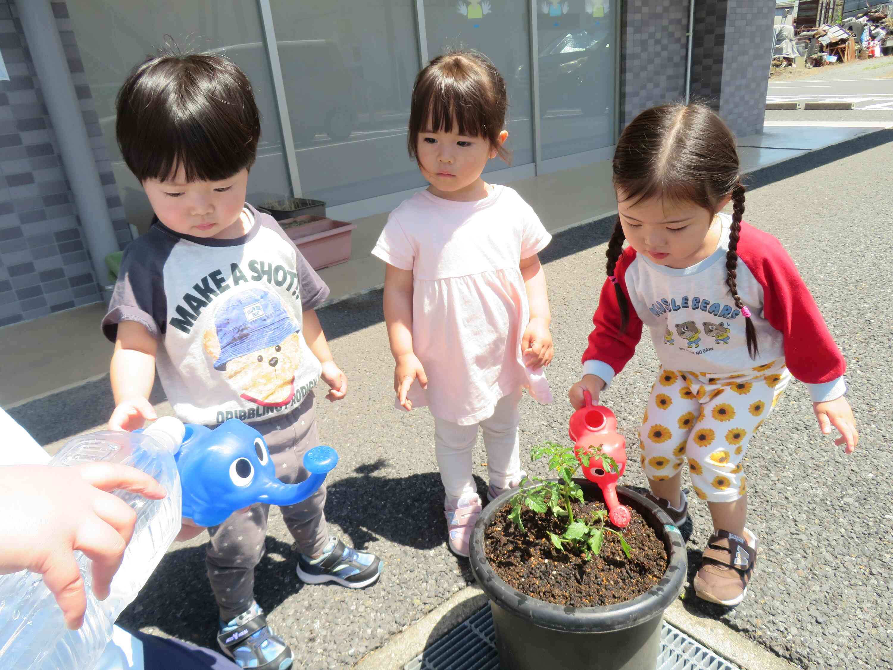 重要なお仕事を任された2歳児クラスのお友だち☆★