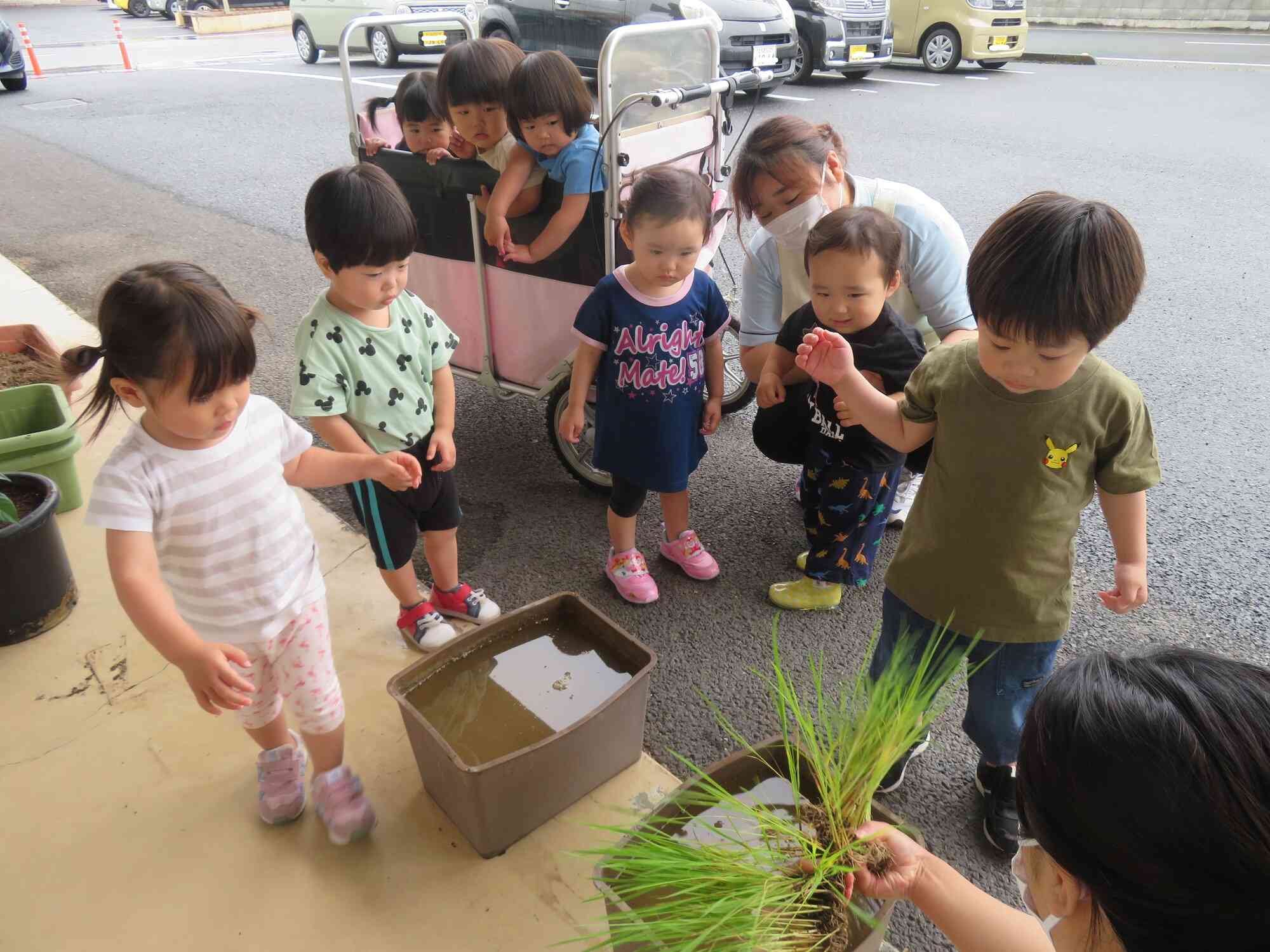 苗をどうやって植えたらいいのか真剣に話を聞いています。