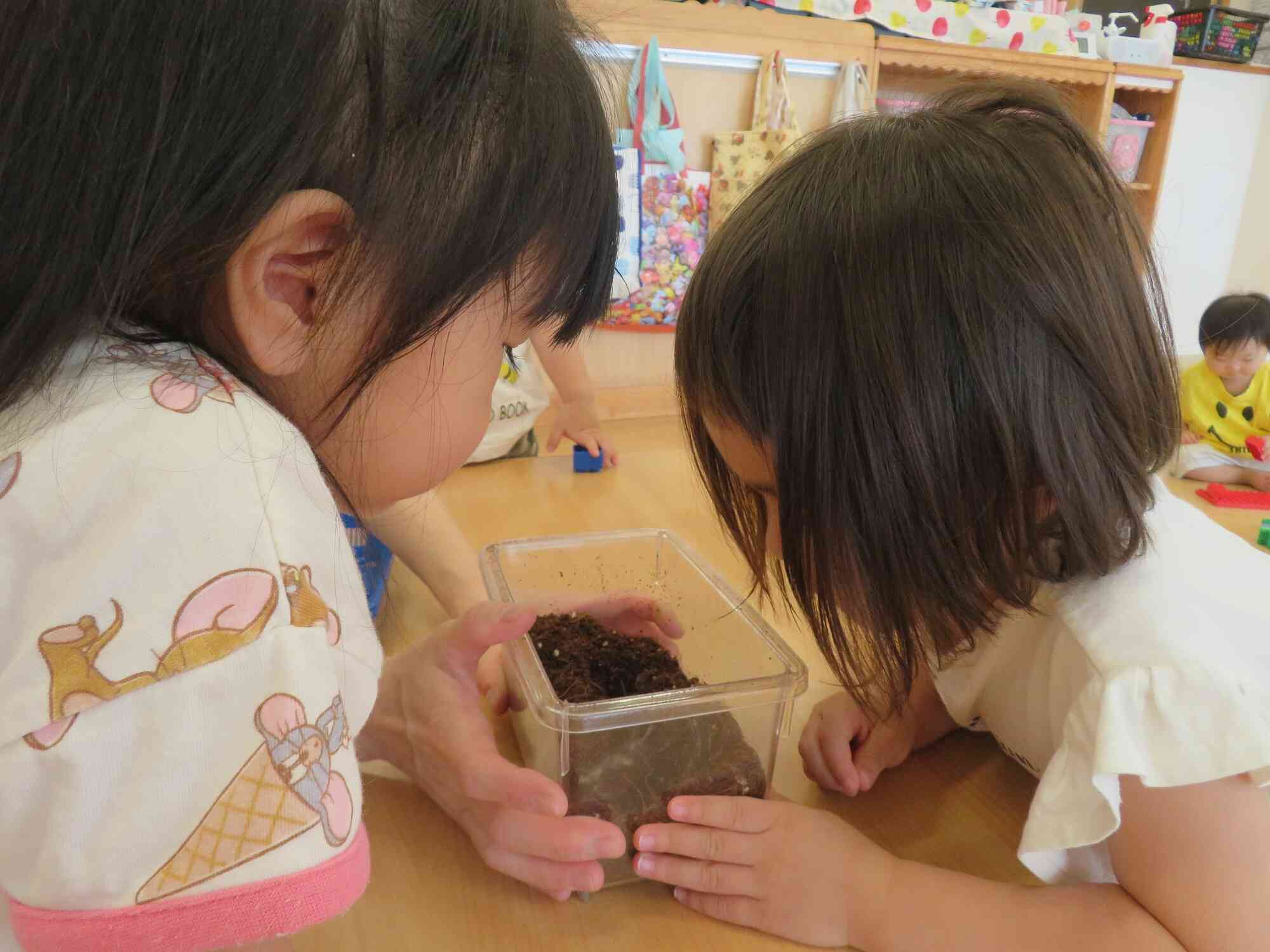 カブト虫の観察中!