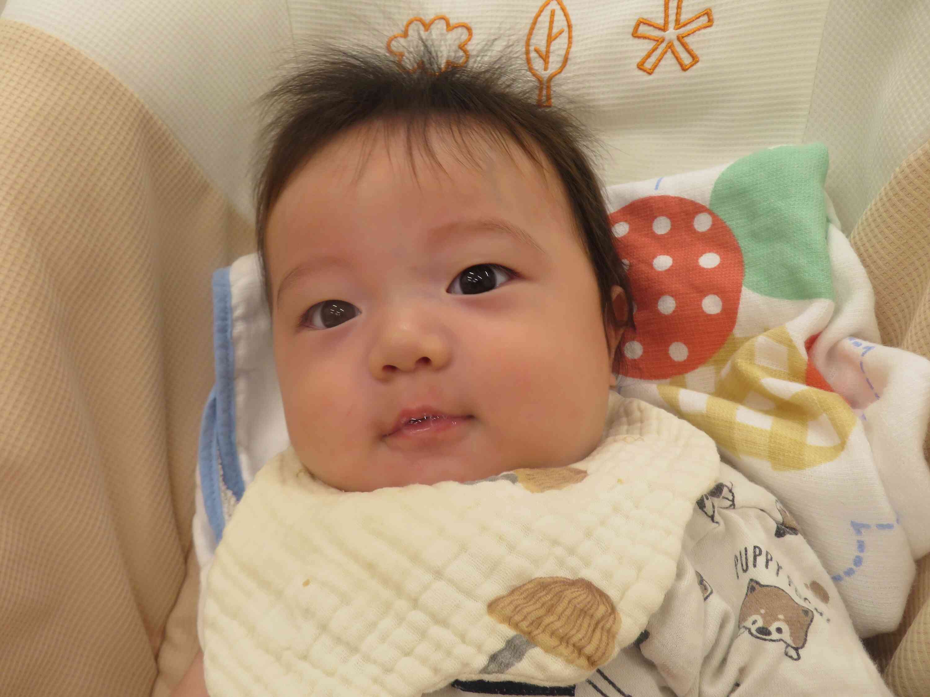 「うんうん、あー」とたくさんお話しています！