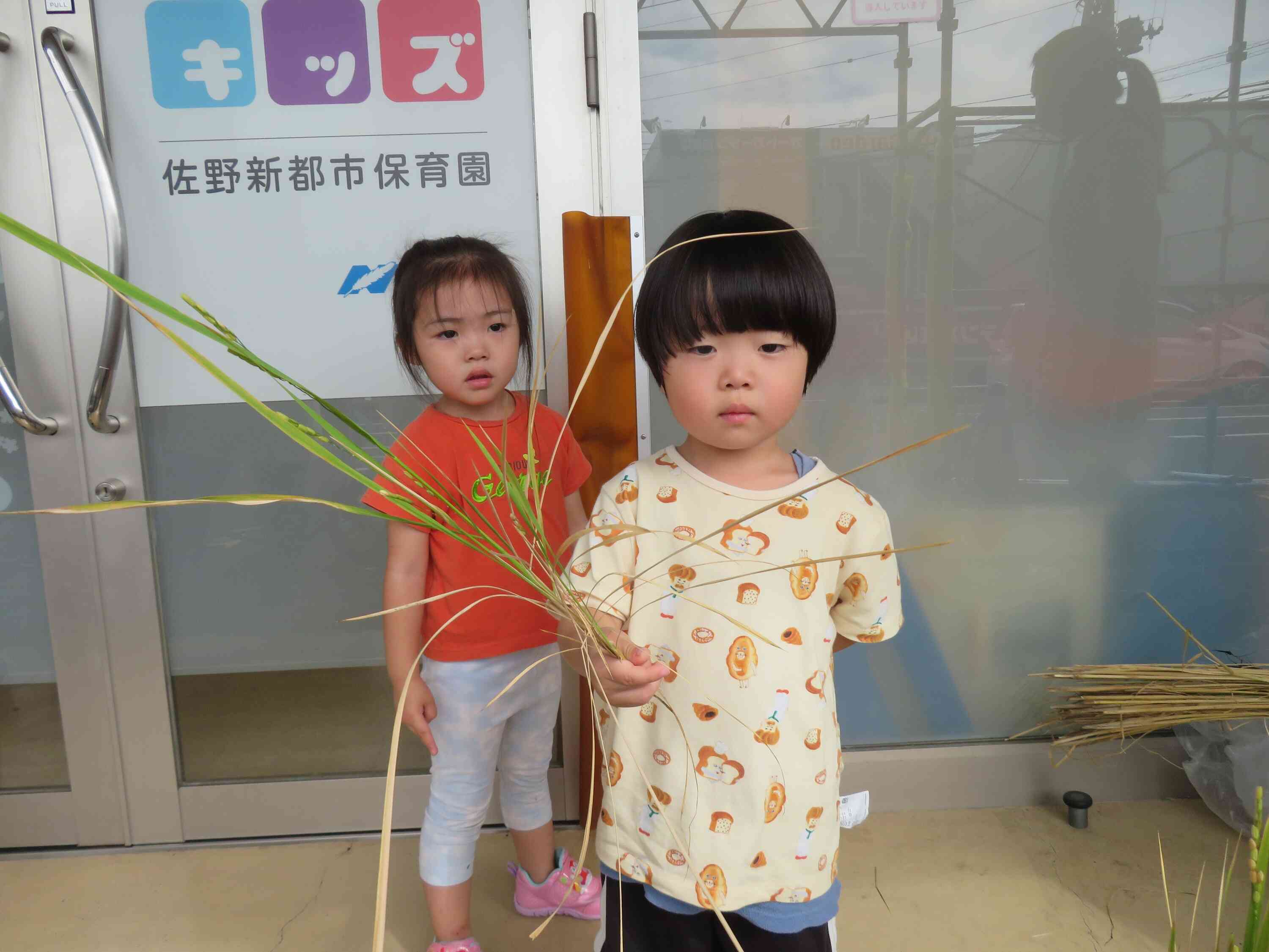 稲刈りをしました！