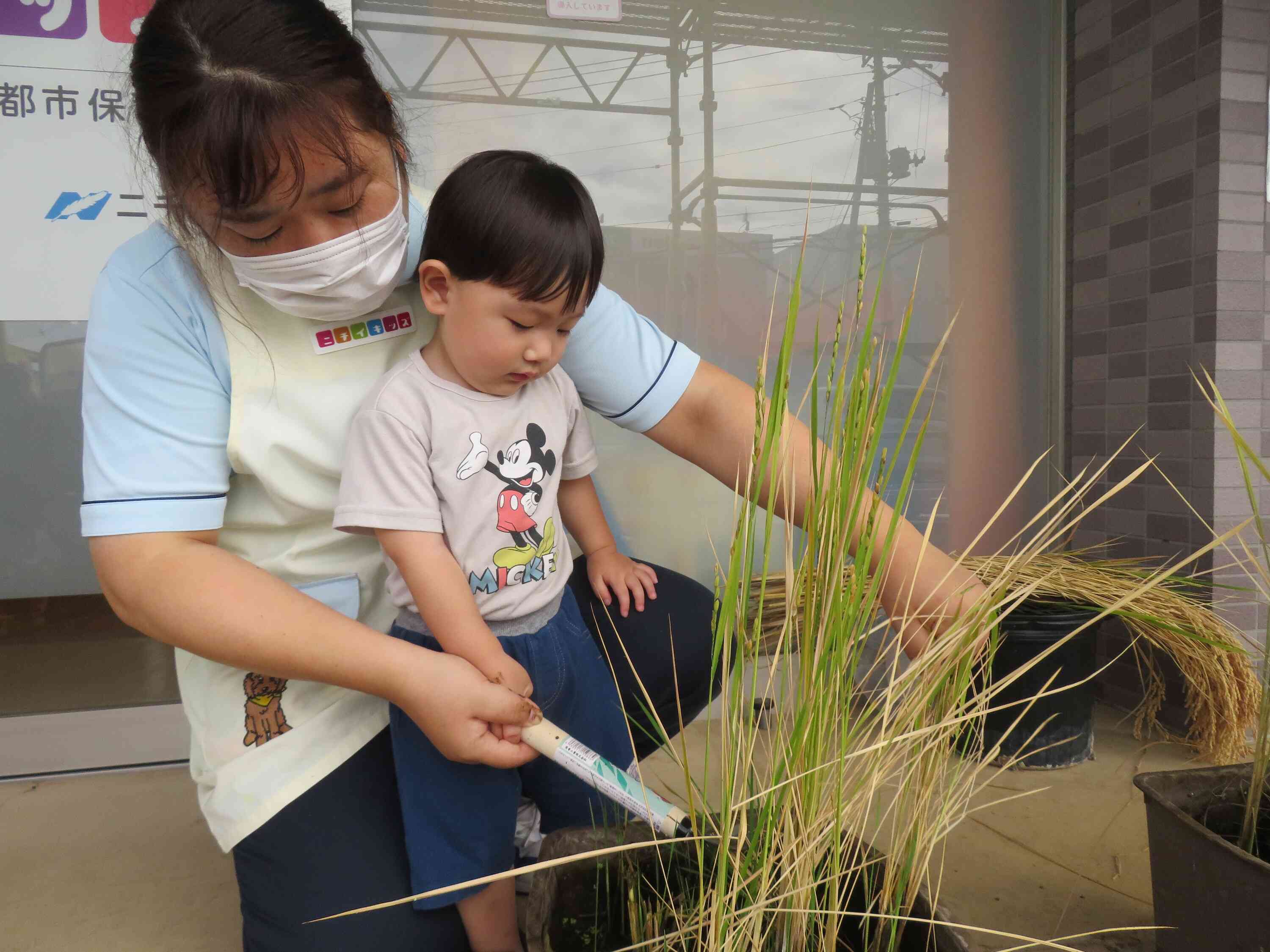 先生と一緒に！