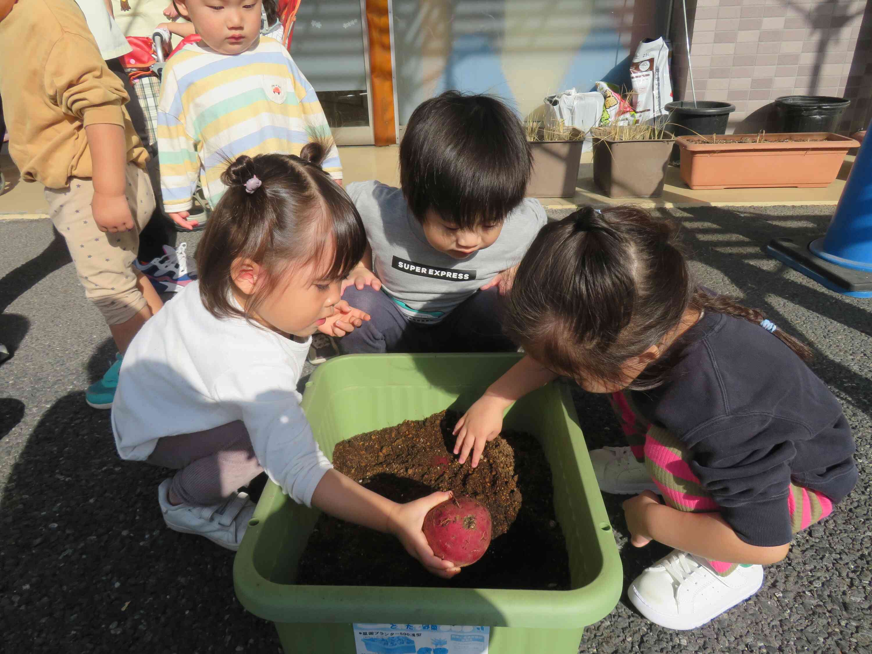 おいもほりごっこをしました！