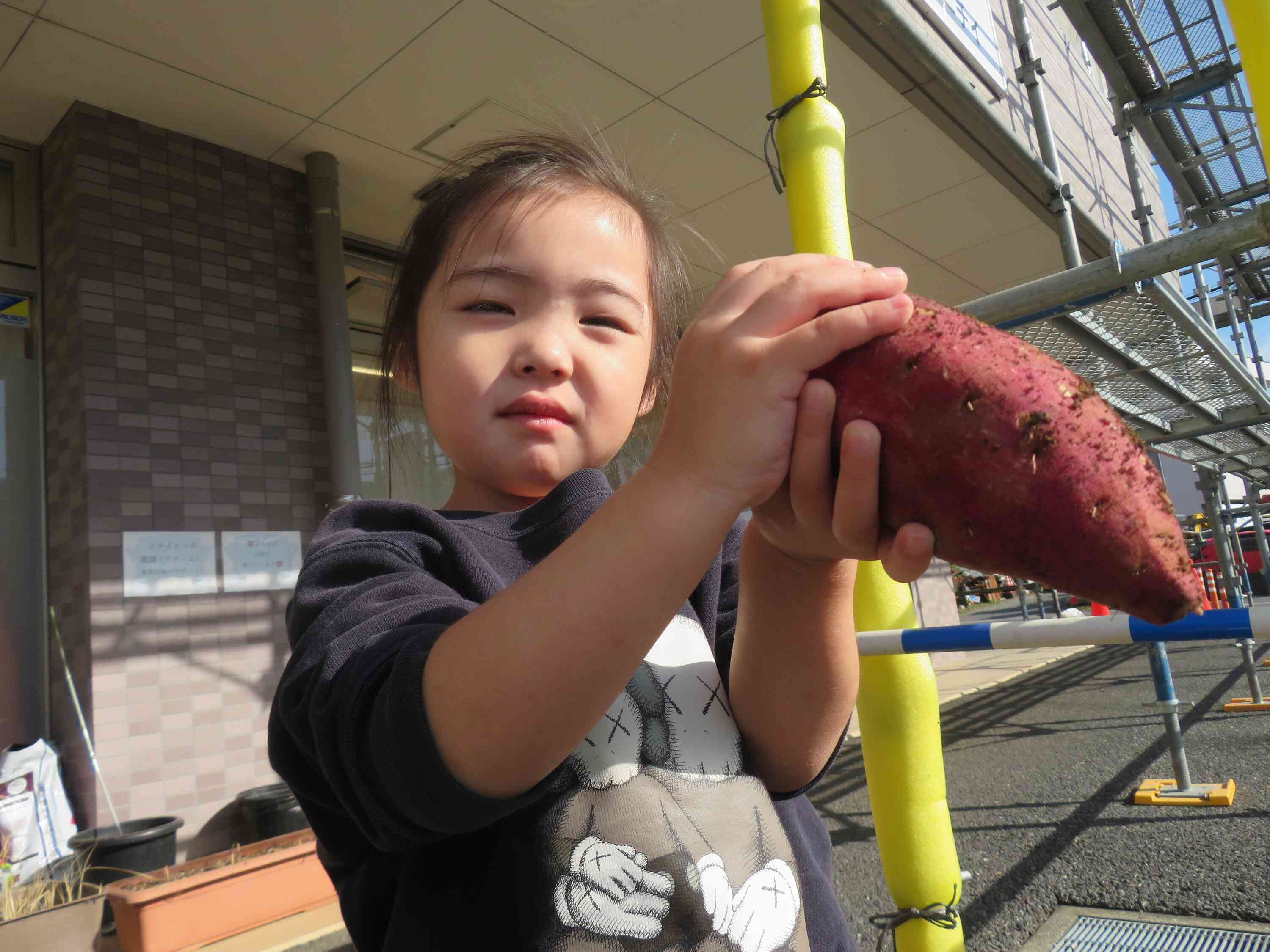おいもほりごっこ！