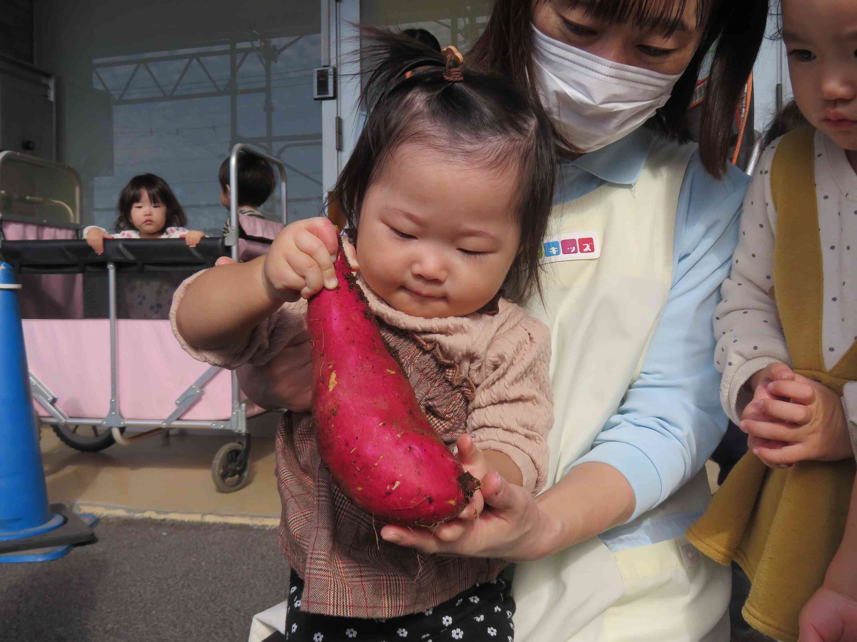始めはちょっと不安だったけど、、、先生と一緒にこんなに大きなお芋が採れました♪
