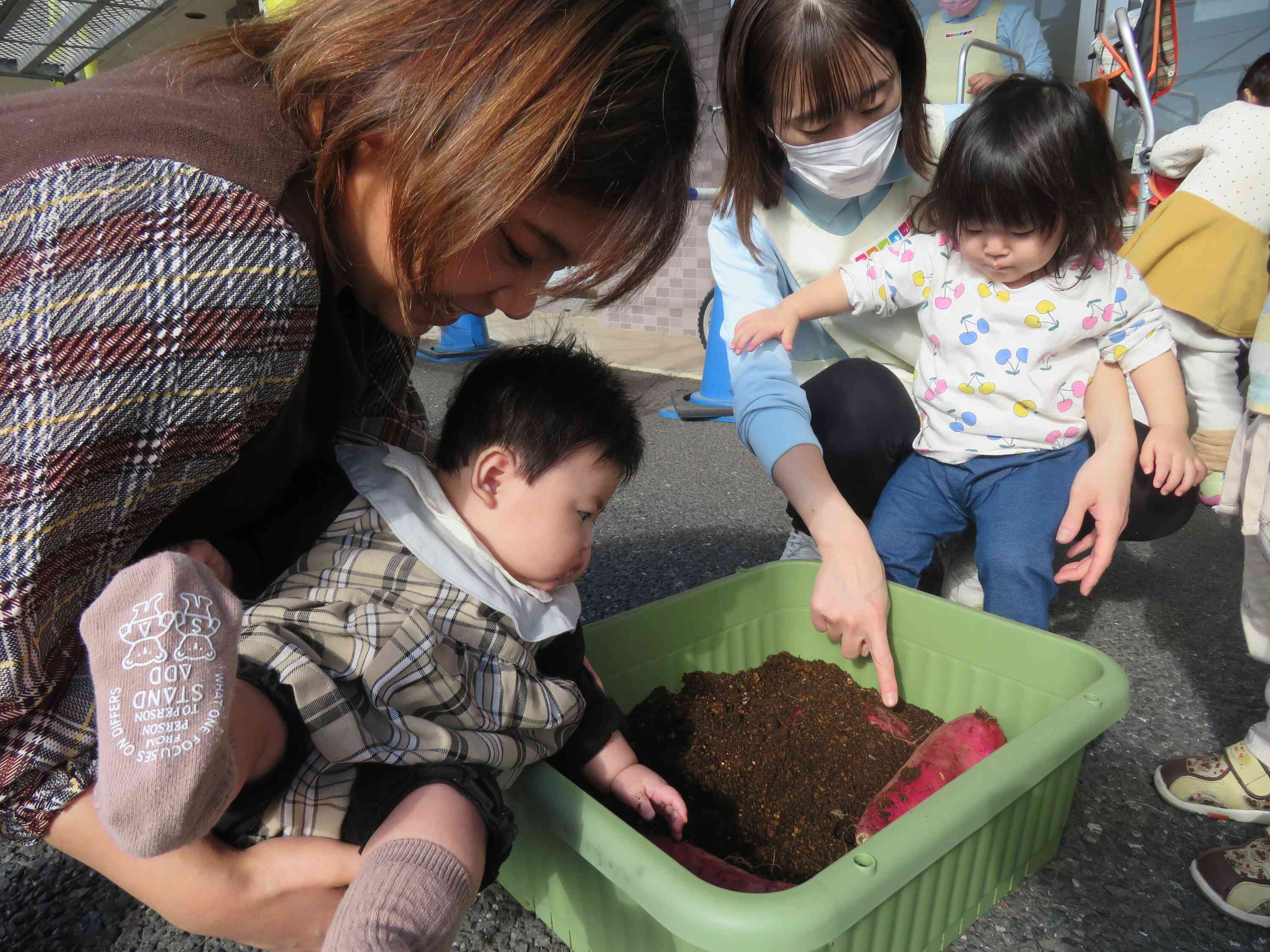 子育て広場に来てくれたお友だちも一緒に芋ほりをしました♪
