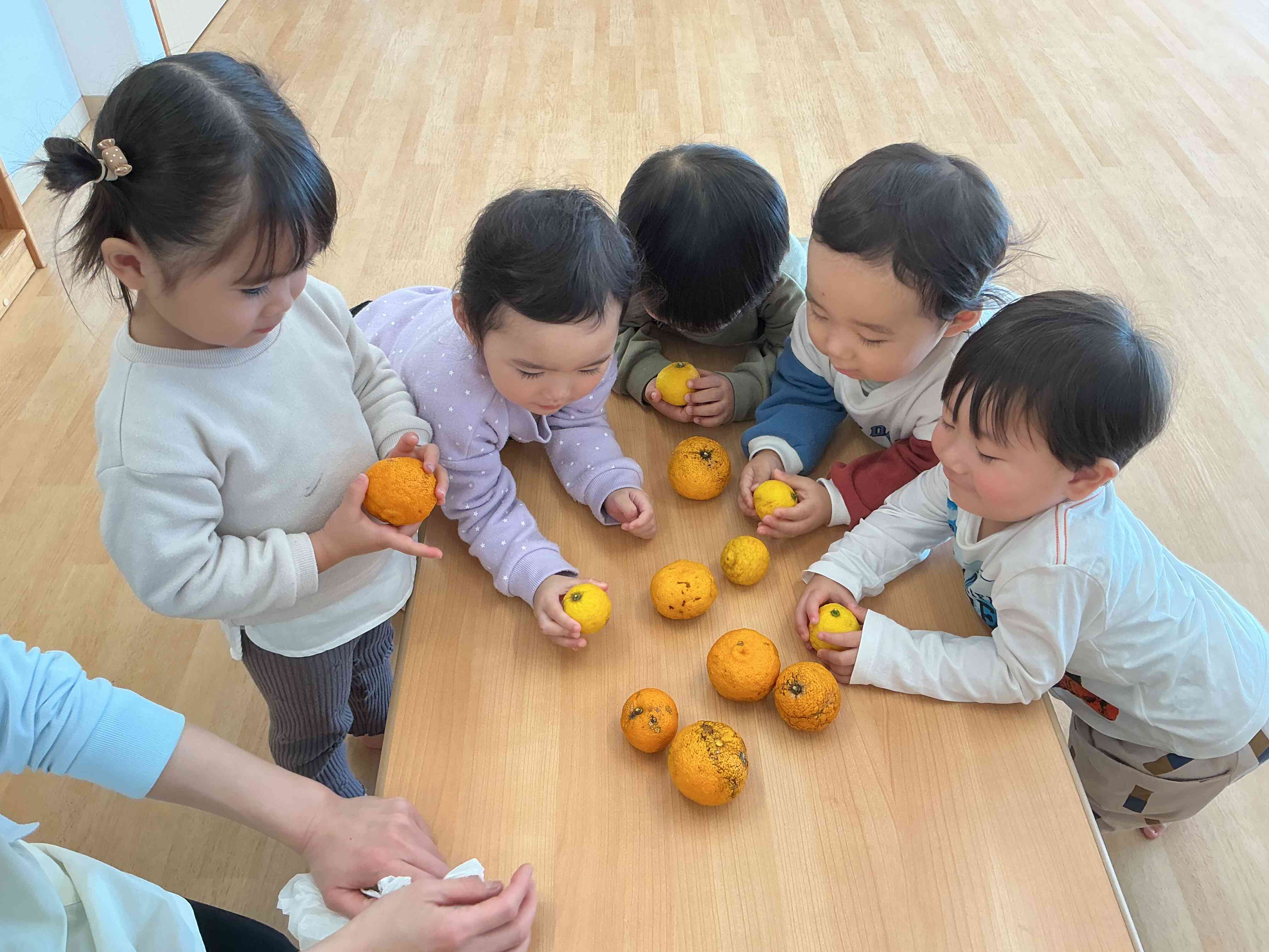 食育〜冬至について〜