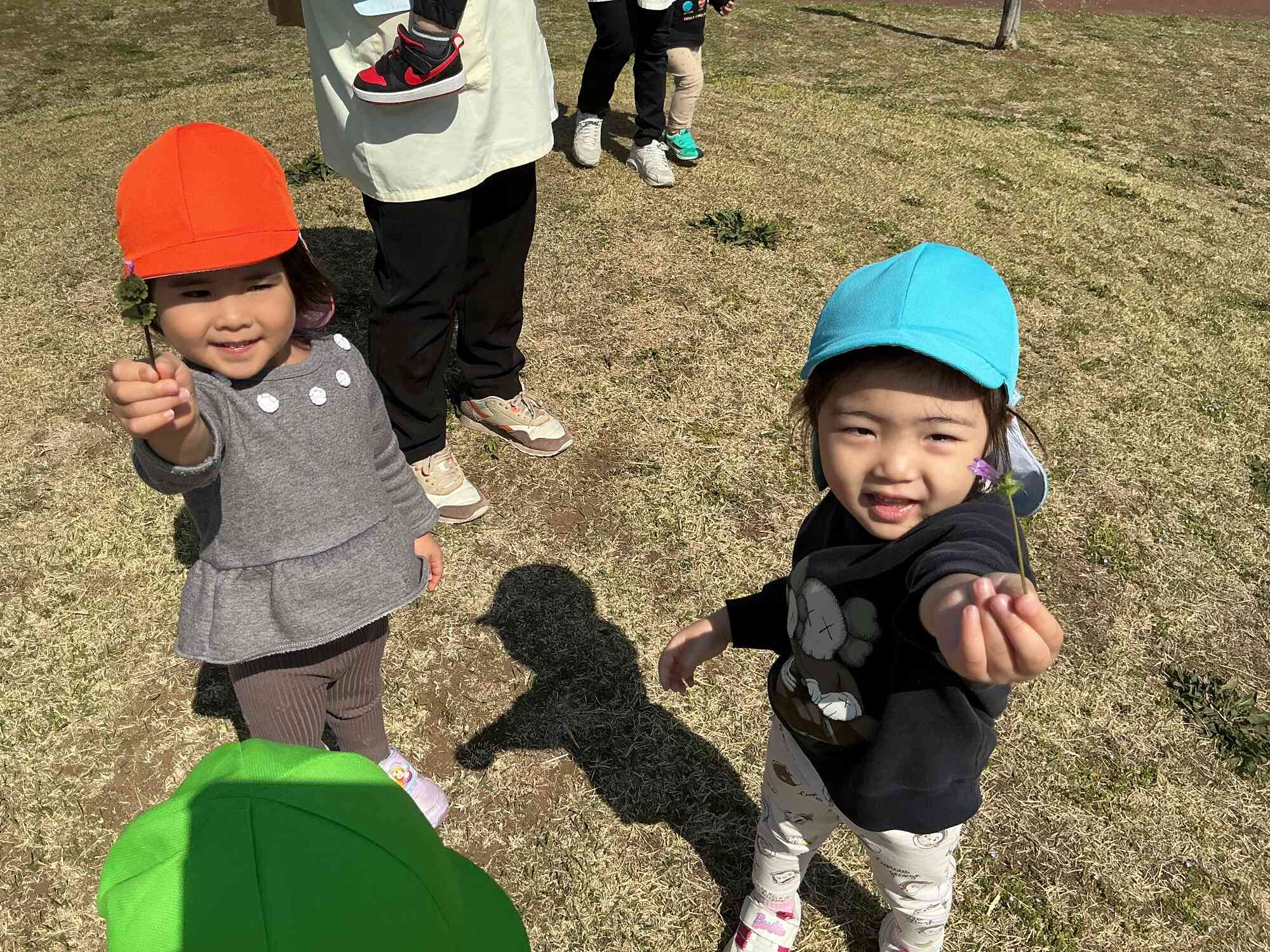 きれいな桜が咲いていました！