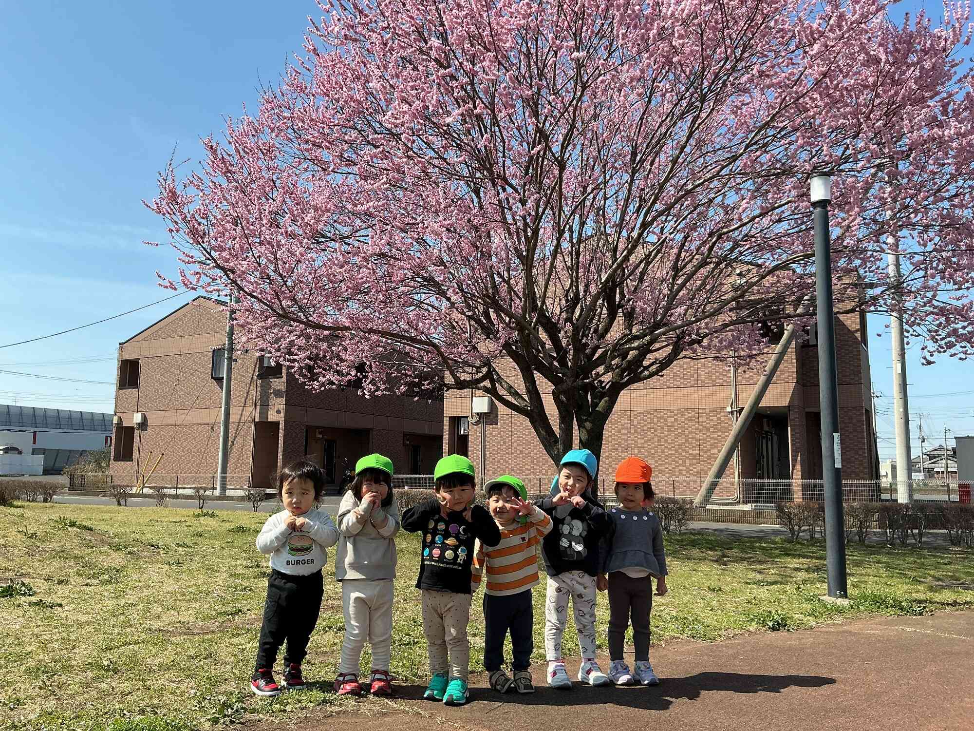 桜の木の下でハイポーズ✿