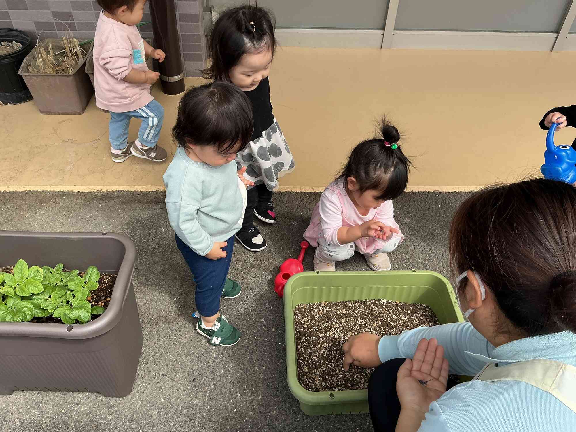 大きく育ってね！