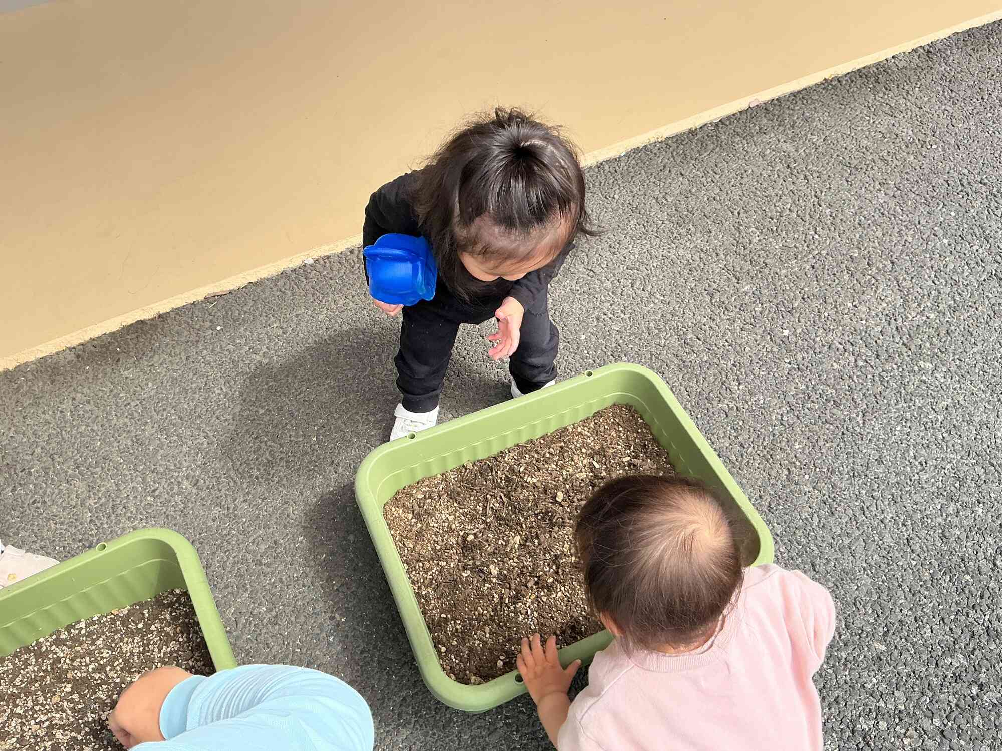 はやく芽がでるといいな！