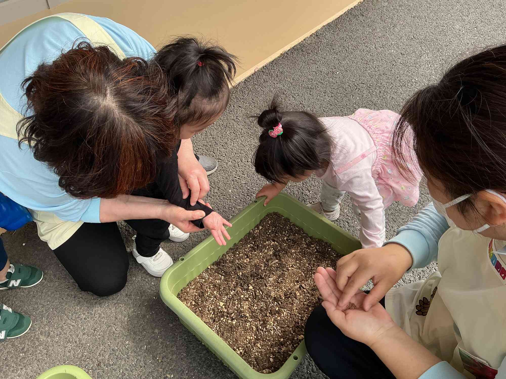 野菜の種まきをしました！