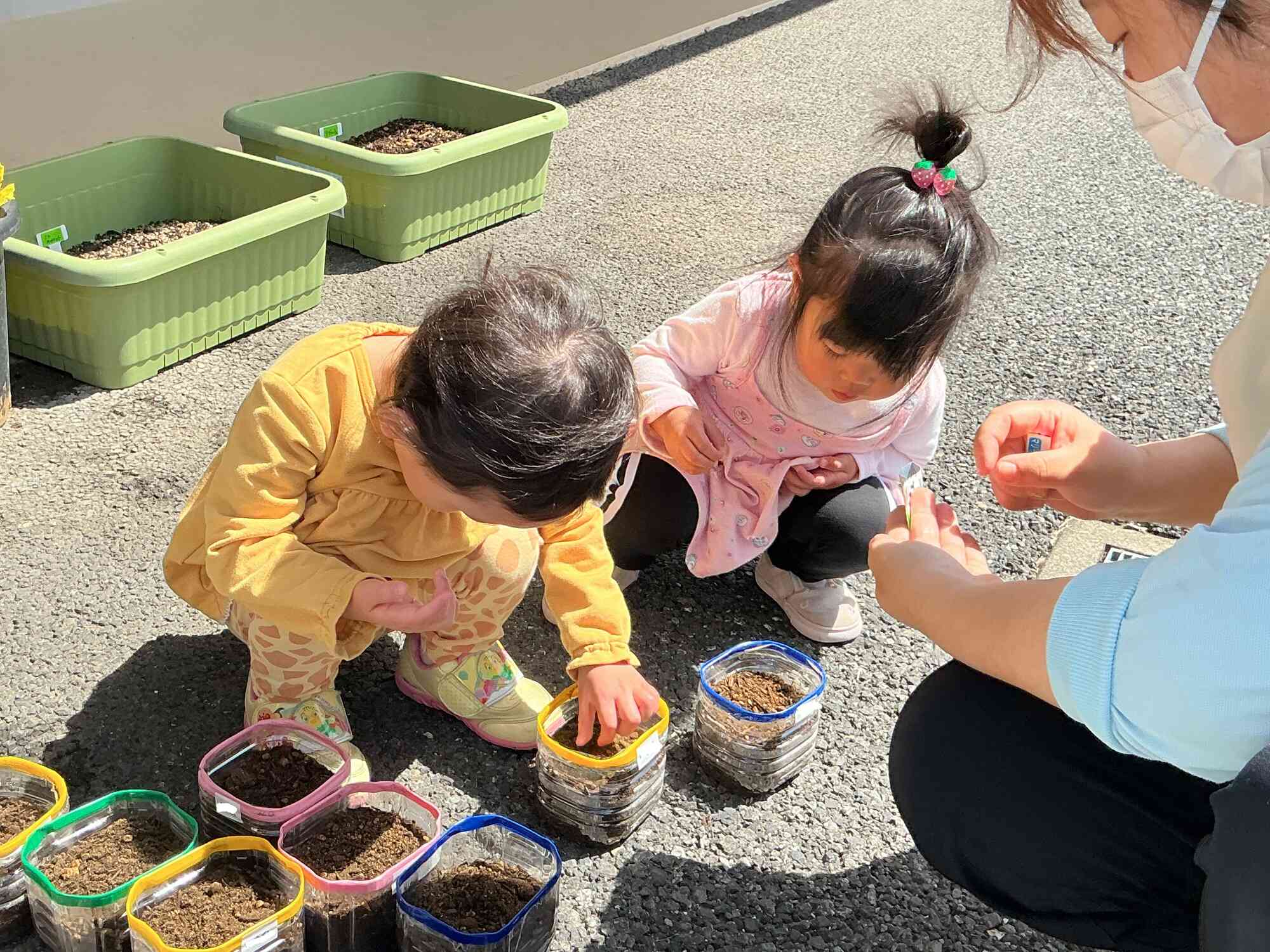 きれいな花が咲きますように！