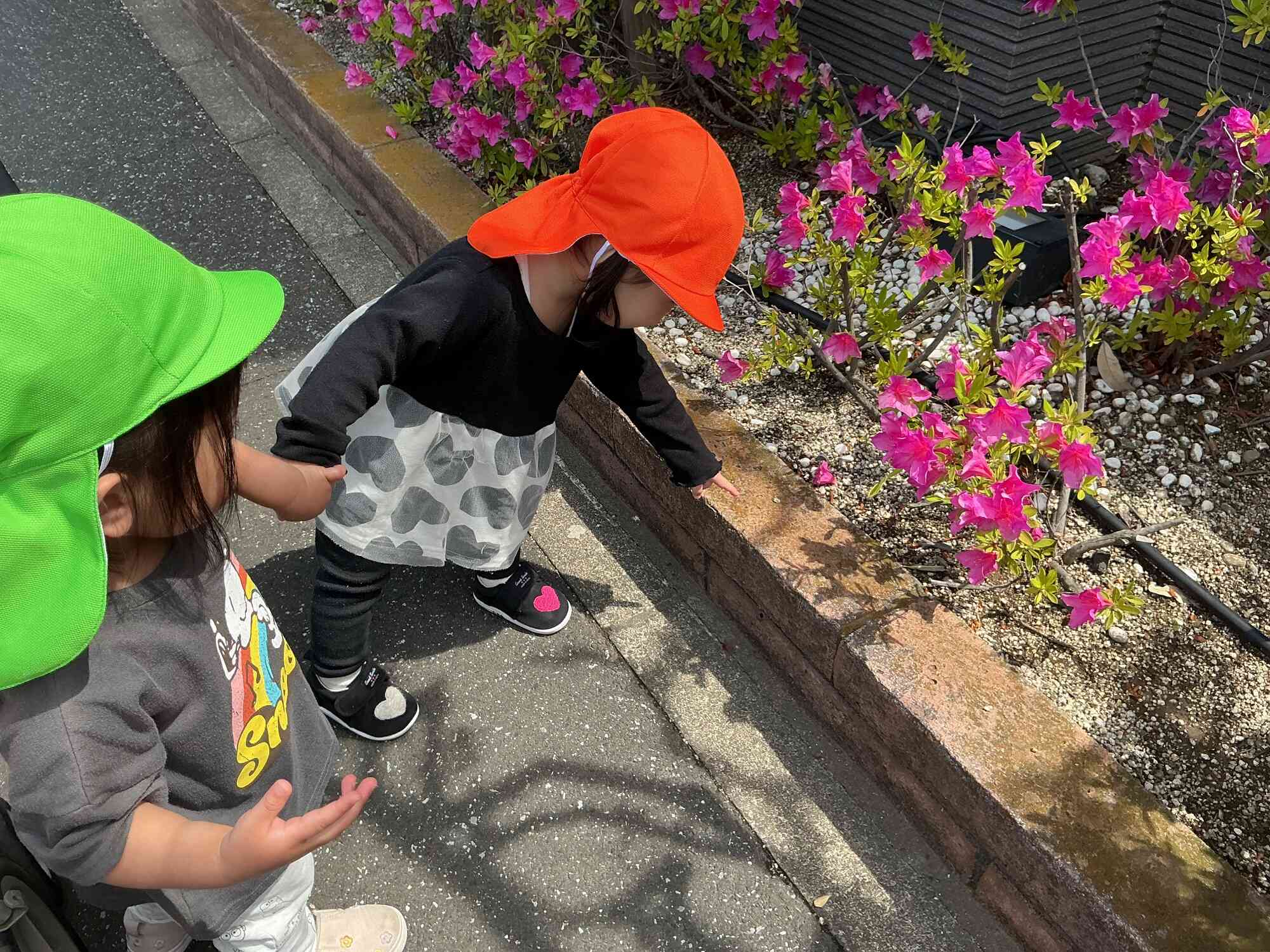 アリさんみーつけた!