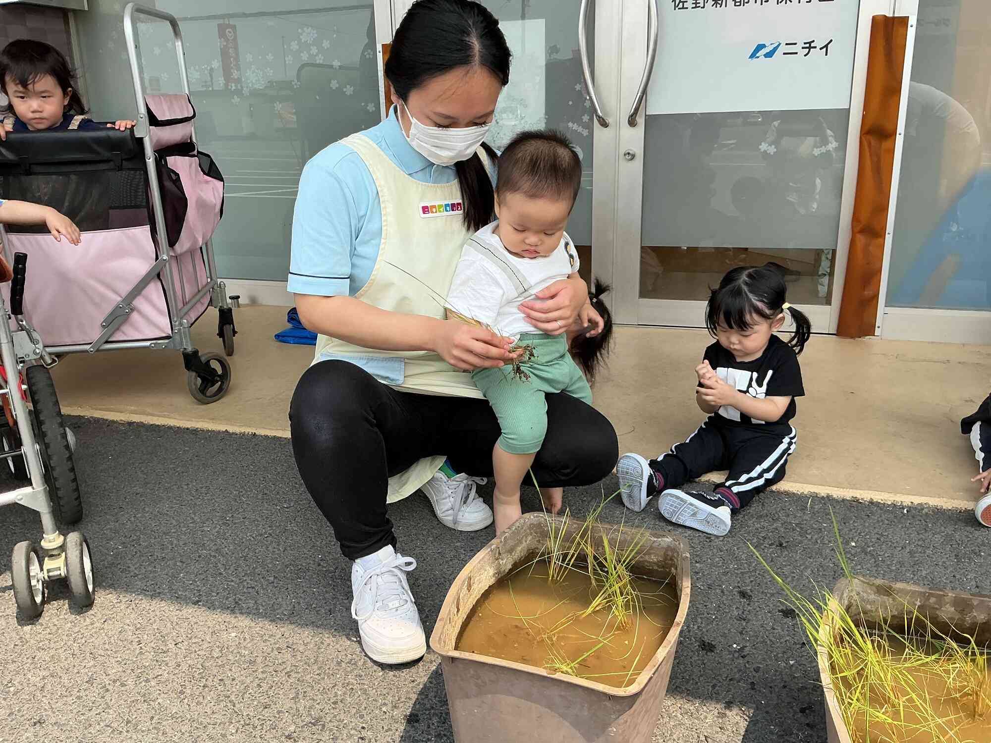 先生と一緒に苗植えをしました！