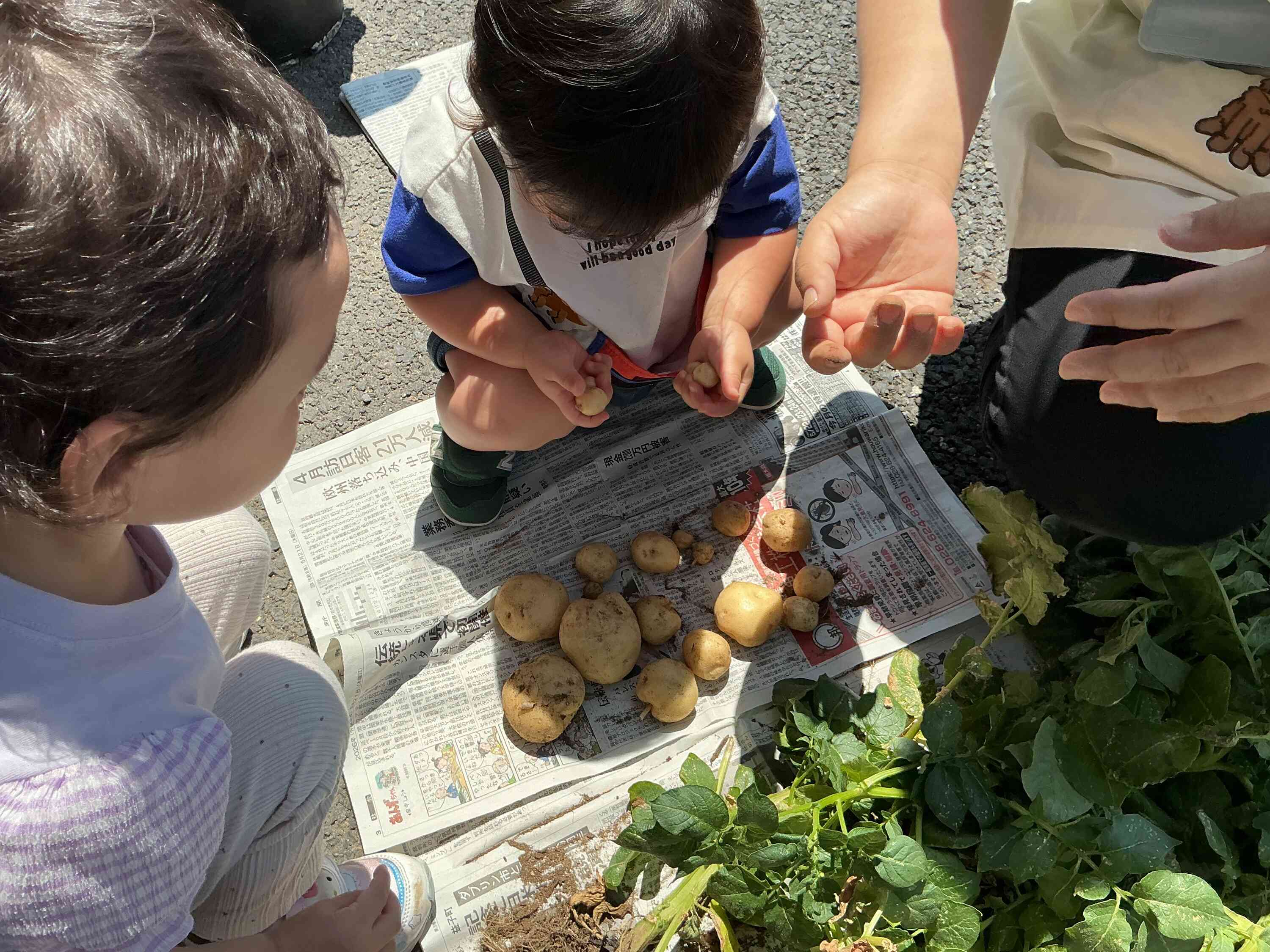 大きいの小さいのと見比べたり、触って感触を味わっていました。